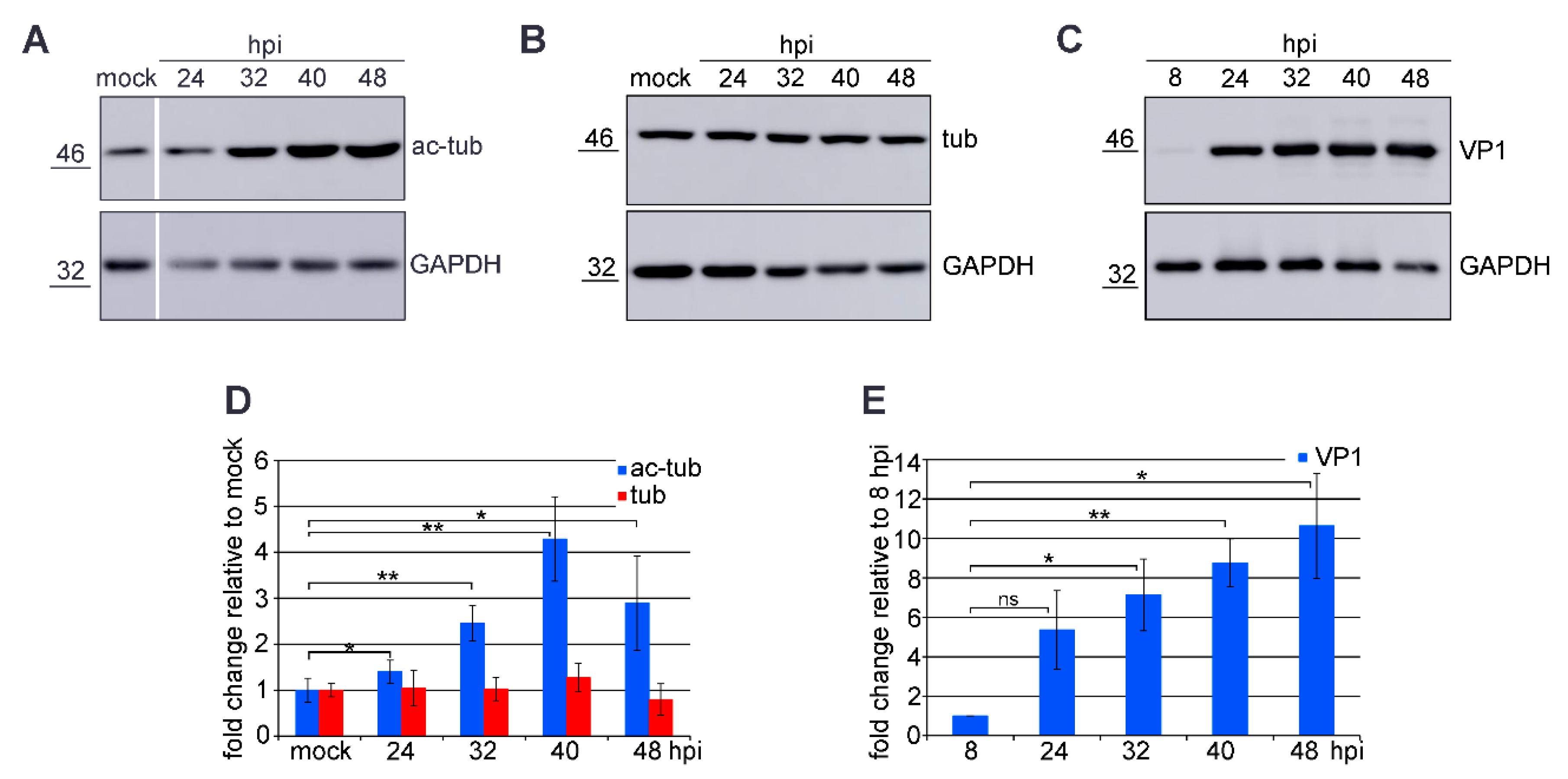 Viruses 12 00227 g001 Viruses 12 00227 g001