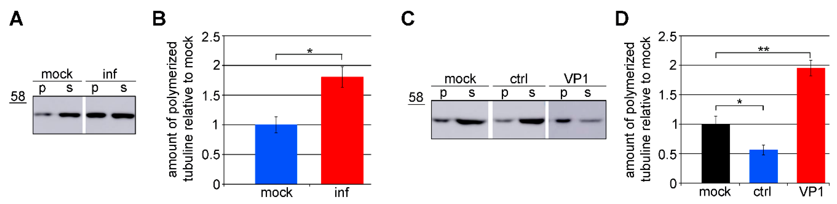 Viruses 12 00227 g003 Viruses 12 00227 g003
