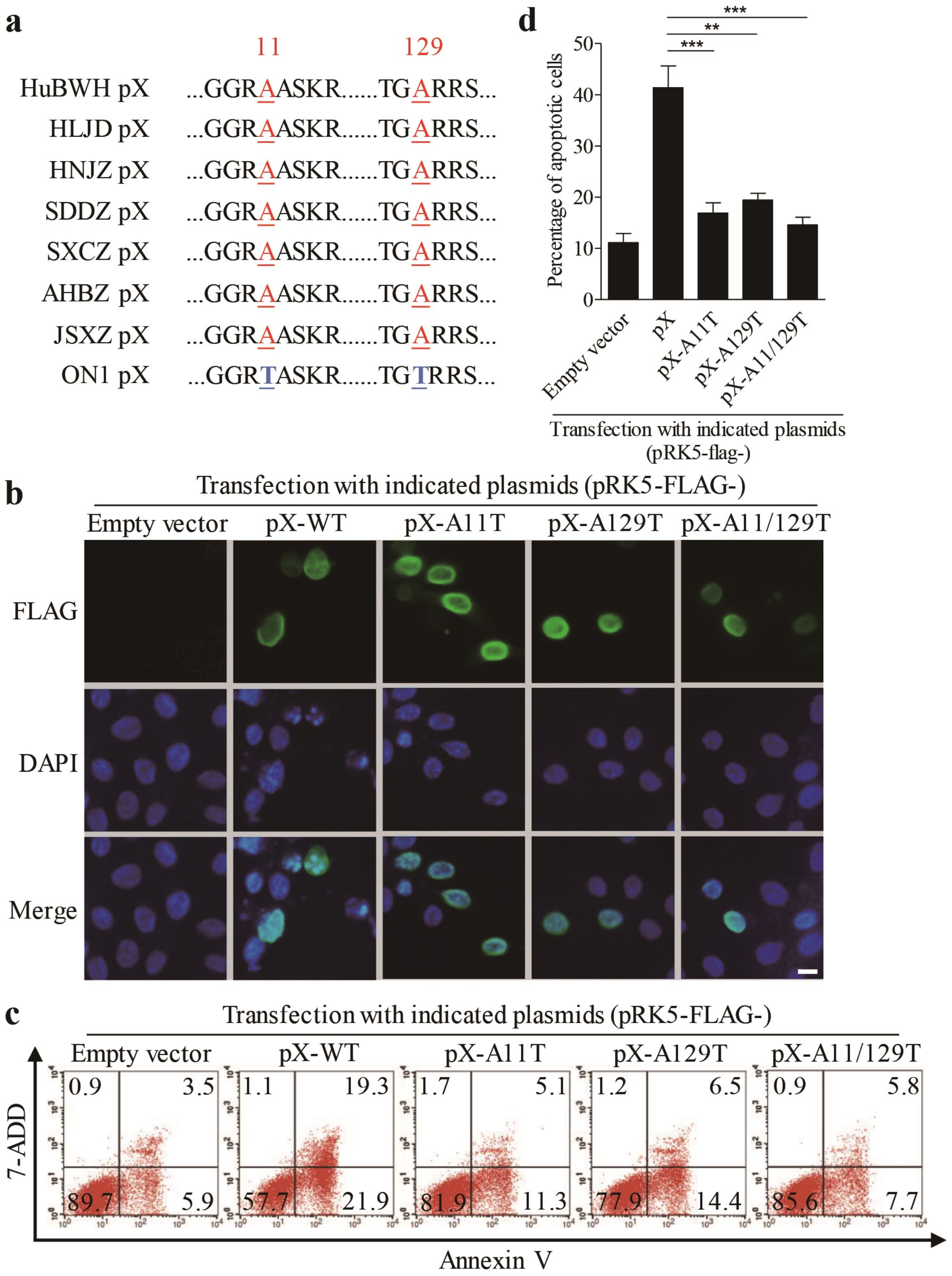 Viruses 12 00228 g005
