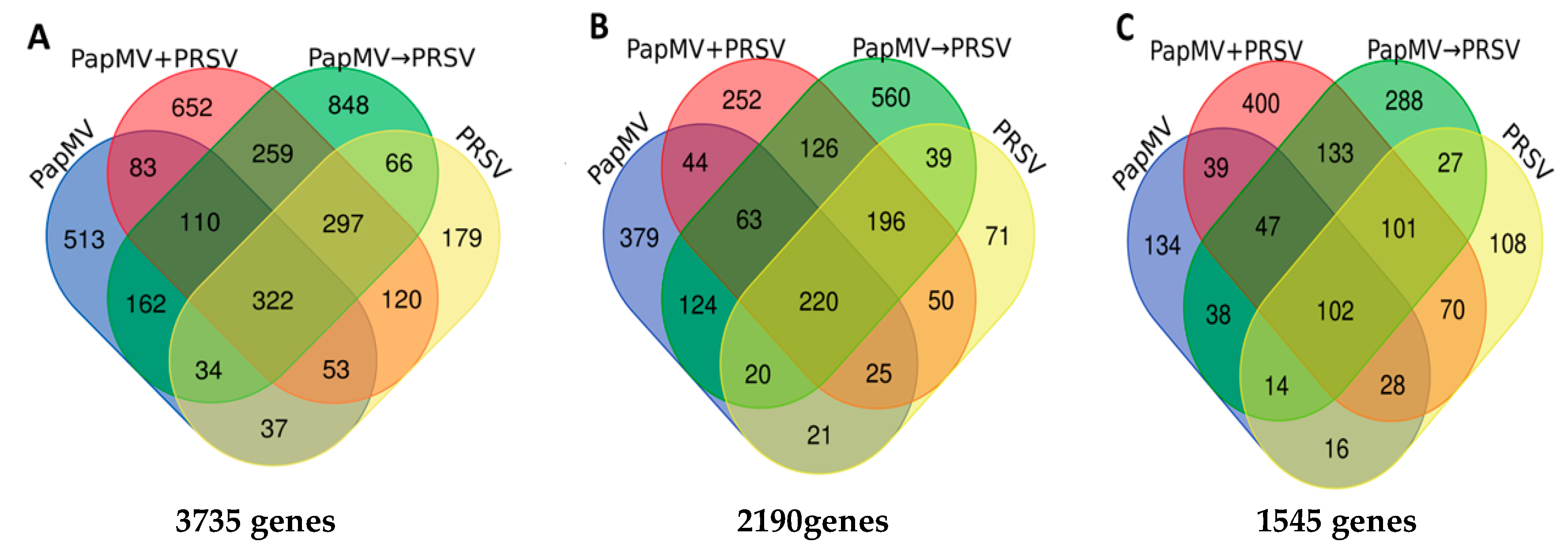 Viruses 12 00230 g002