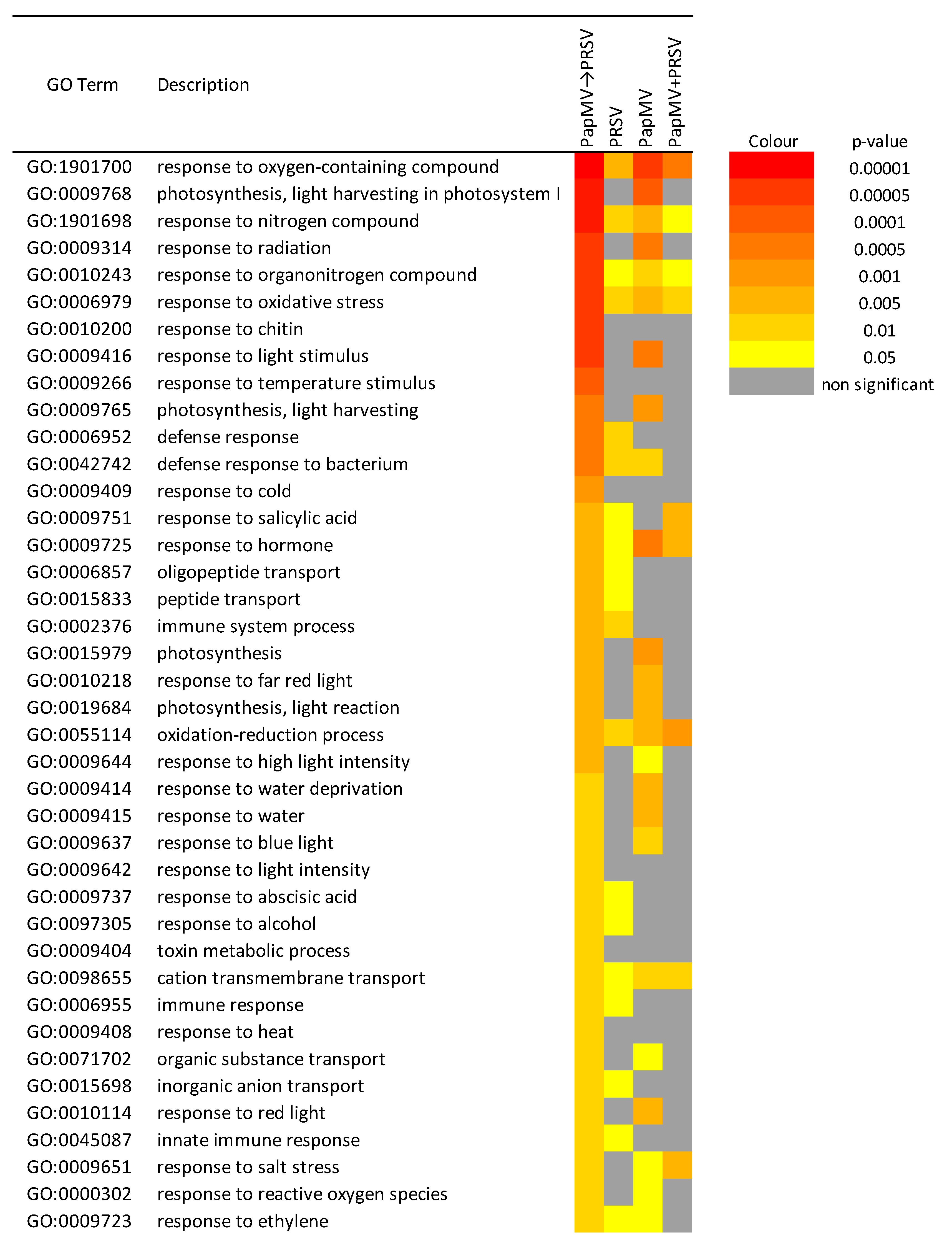 Viruses 12 00230 g004