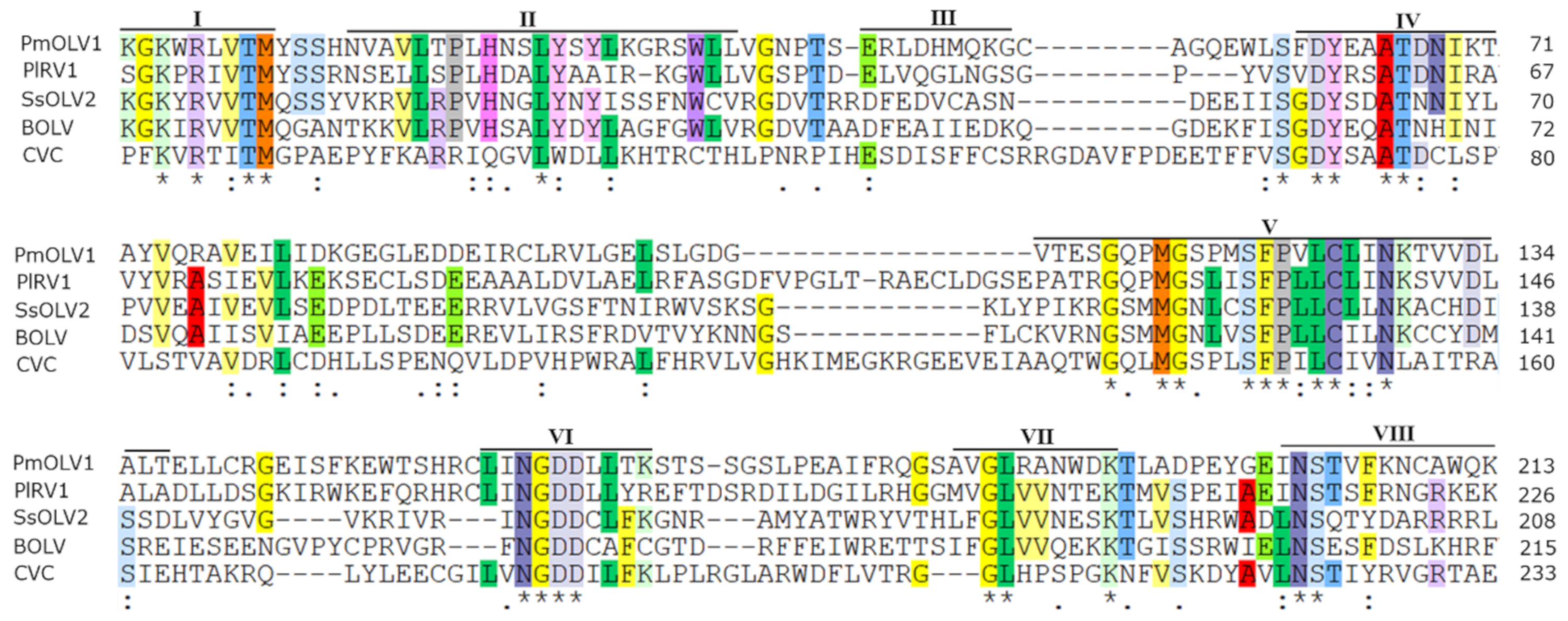 Viruses 12 00231 g002