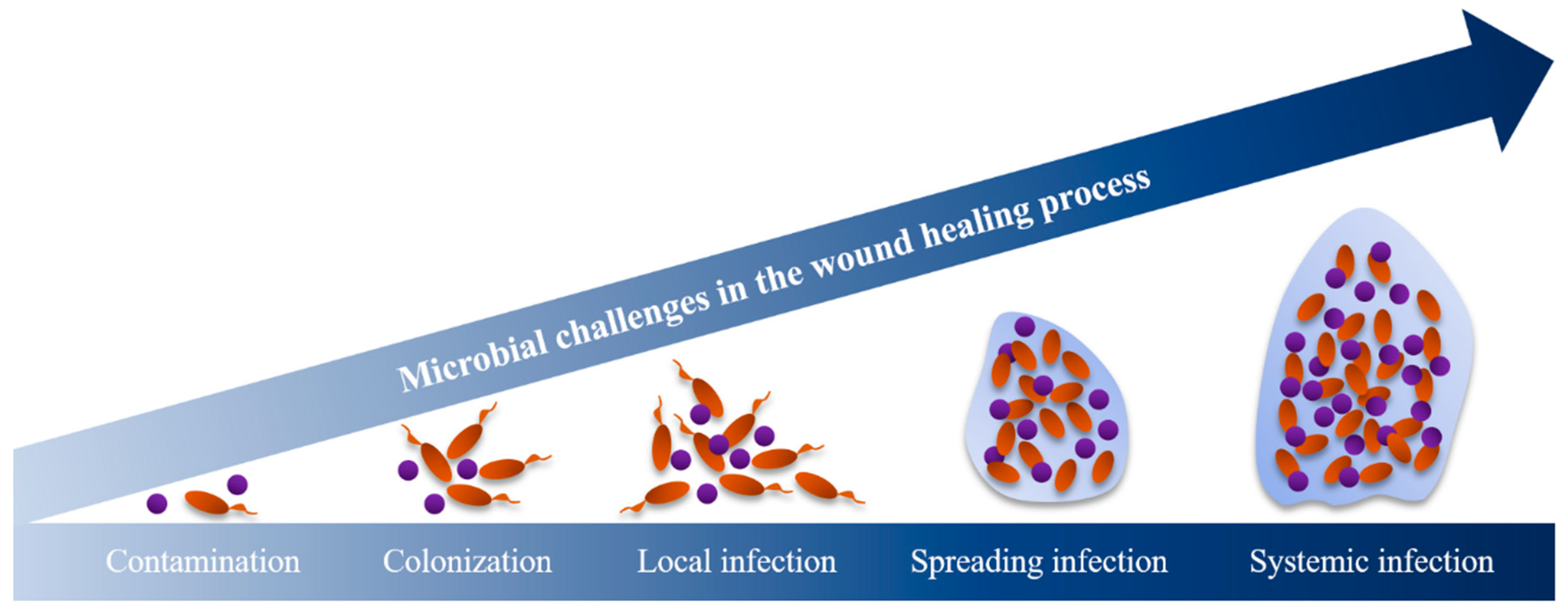 Viruses 12 00235 g003