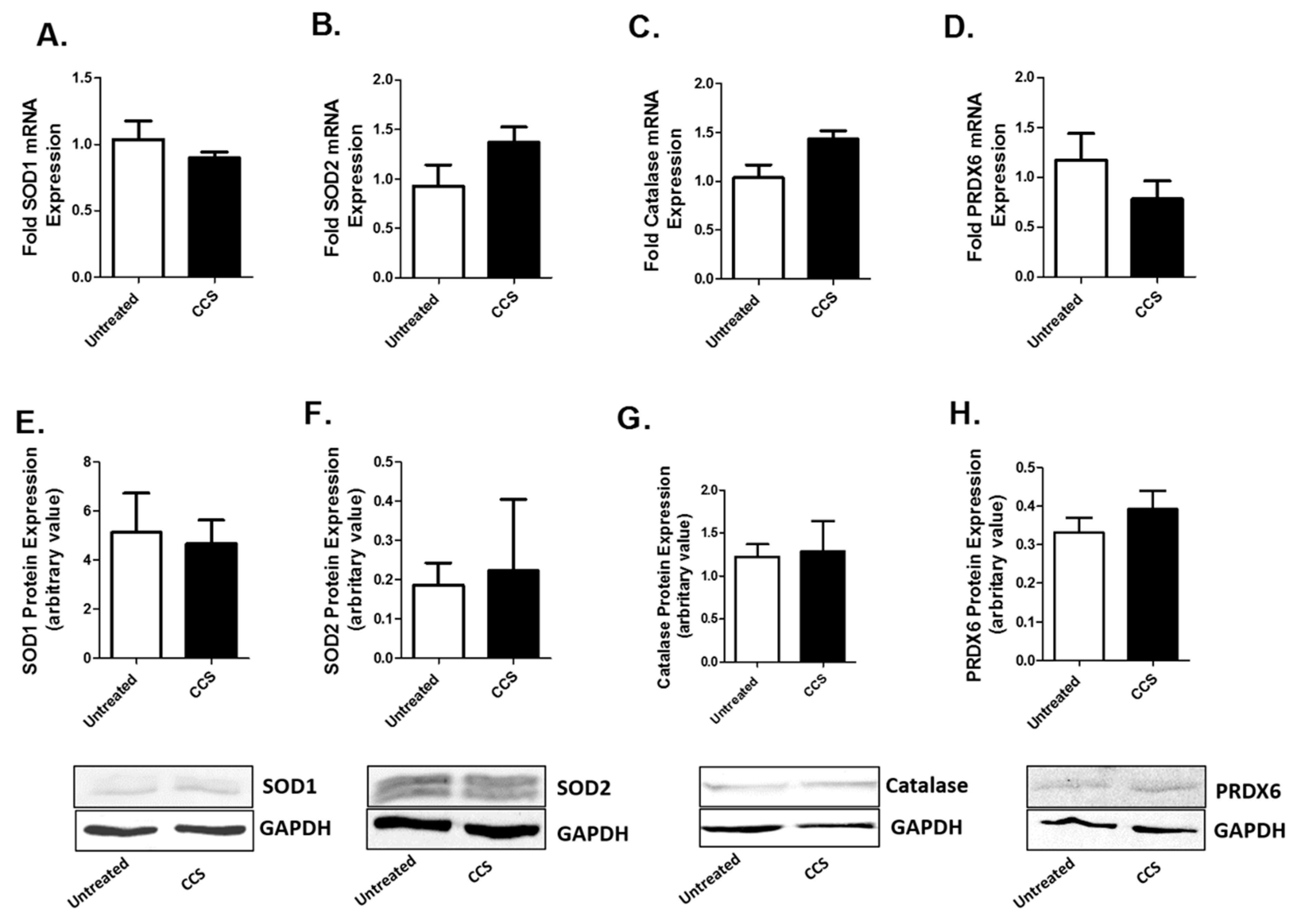 Viruses 12 00239 g003 Viruses 12 00239 g003