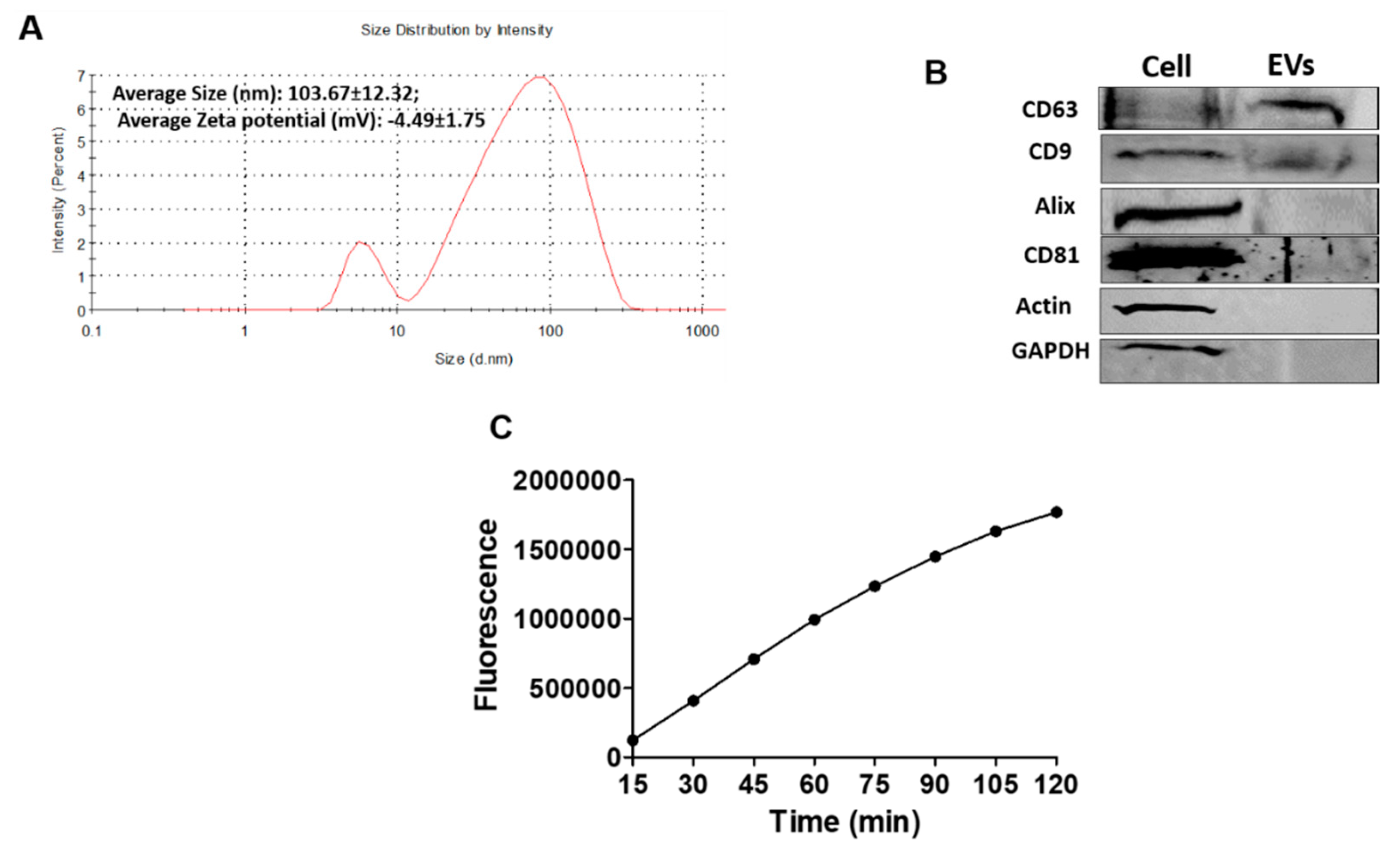 Viruses 12 00239 g004 Viruses 12 00239 g004