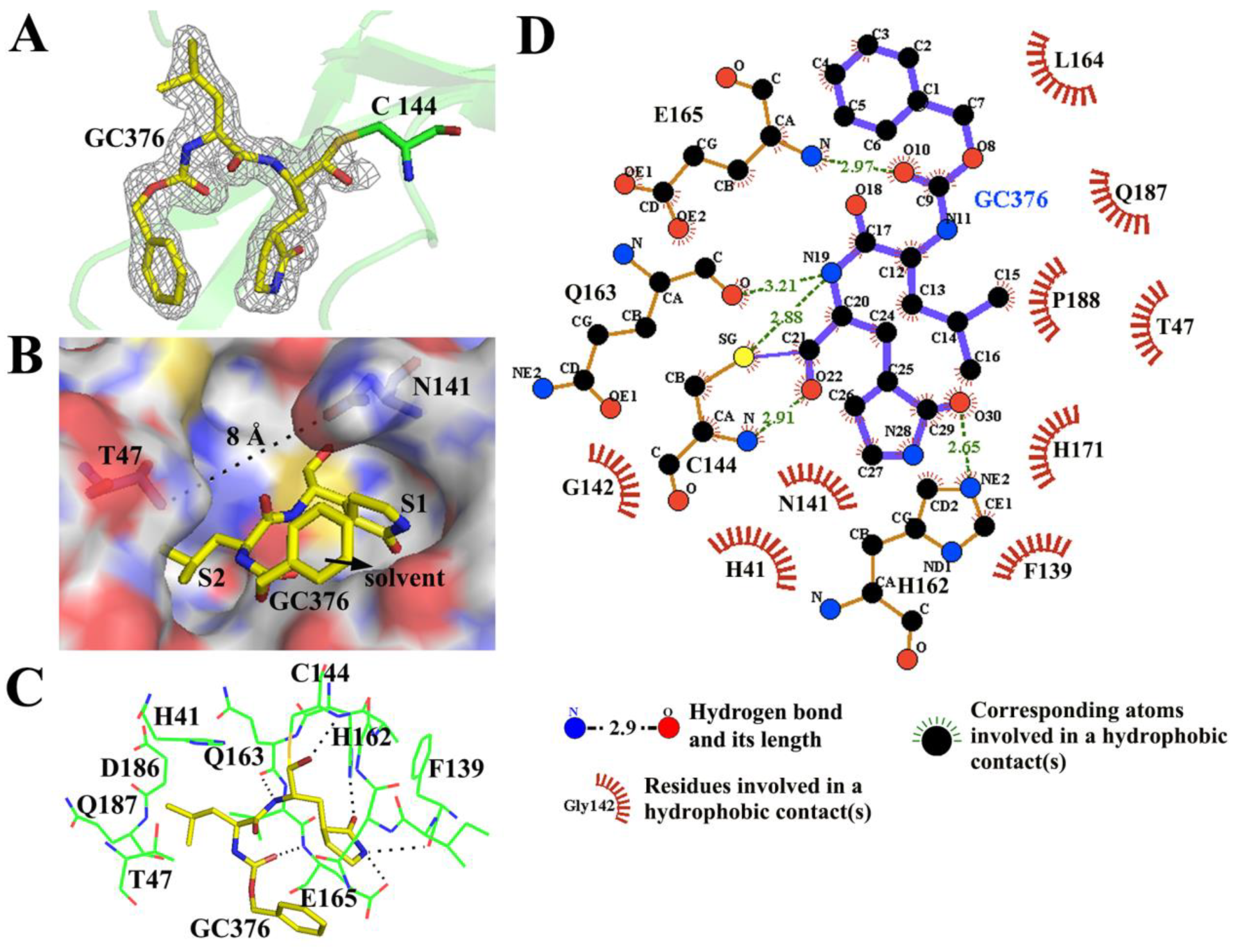 Viruses 12 00240 g004