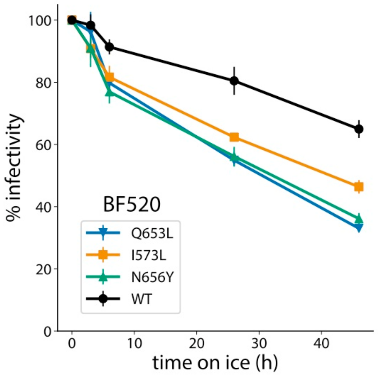 Viruses 12 00241 g006 Viruses 12 00241 g006