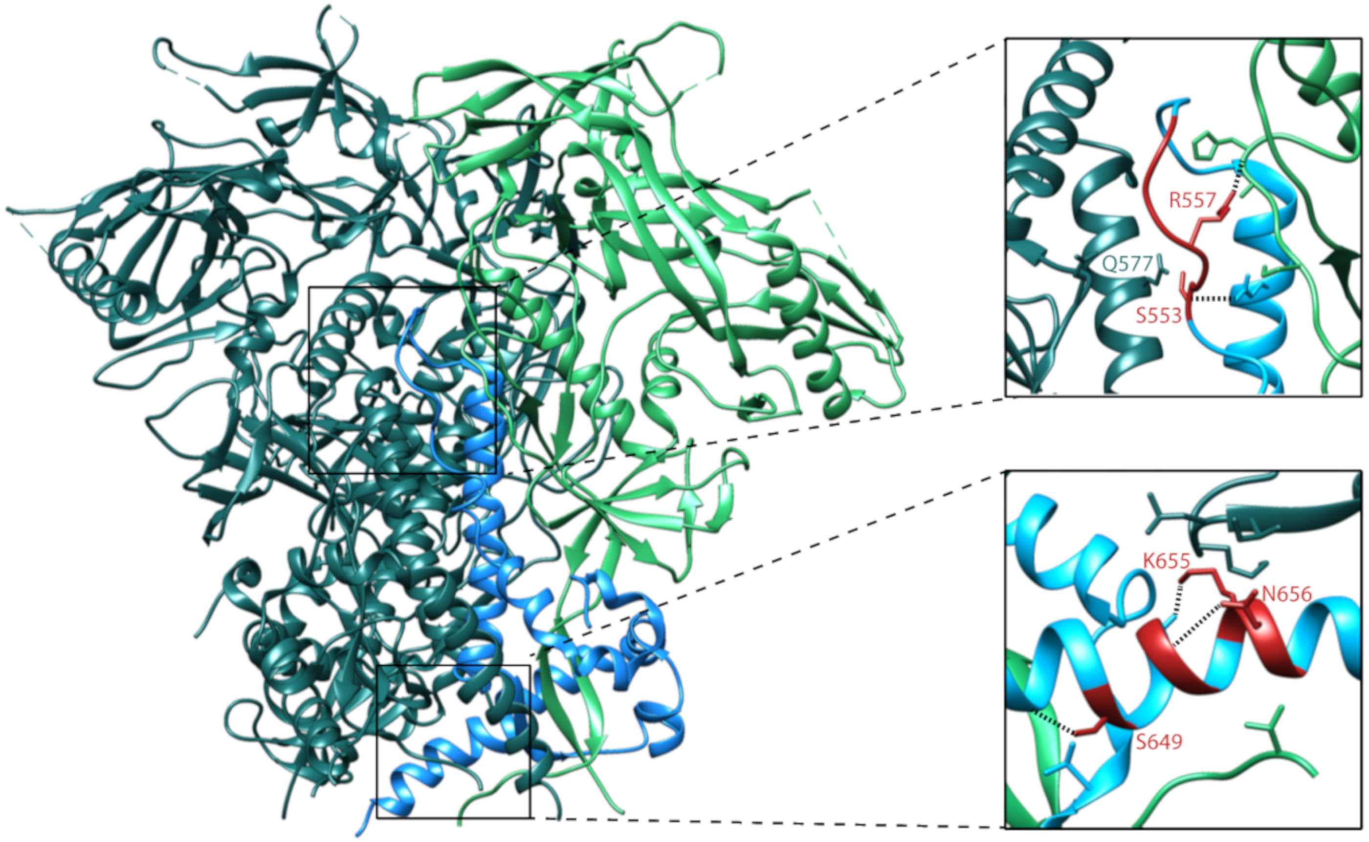 Viruses 12 00241 g007 Viruses 12 00241 g007