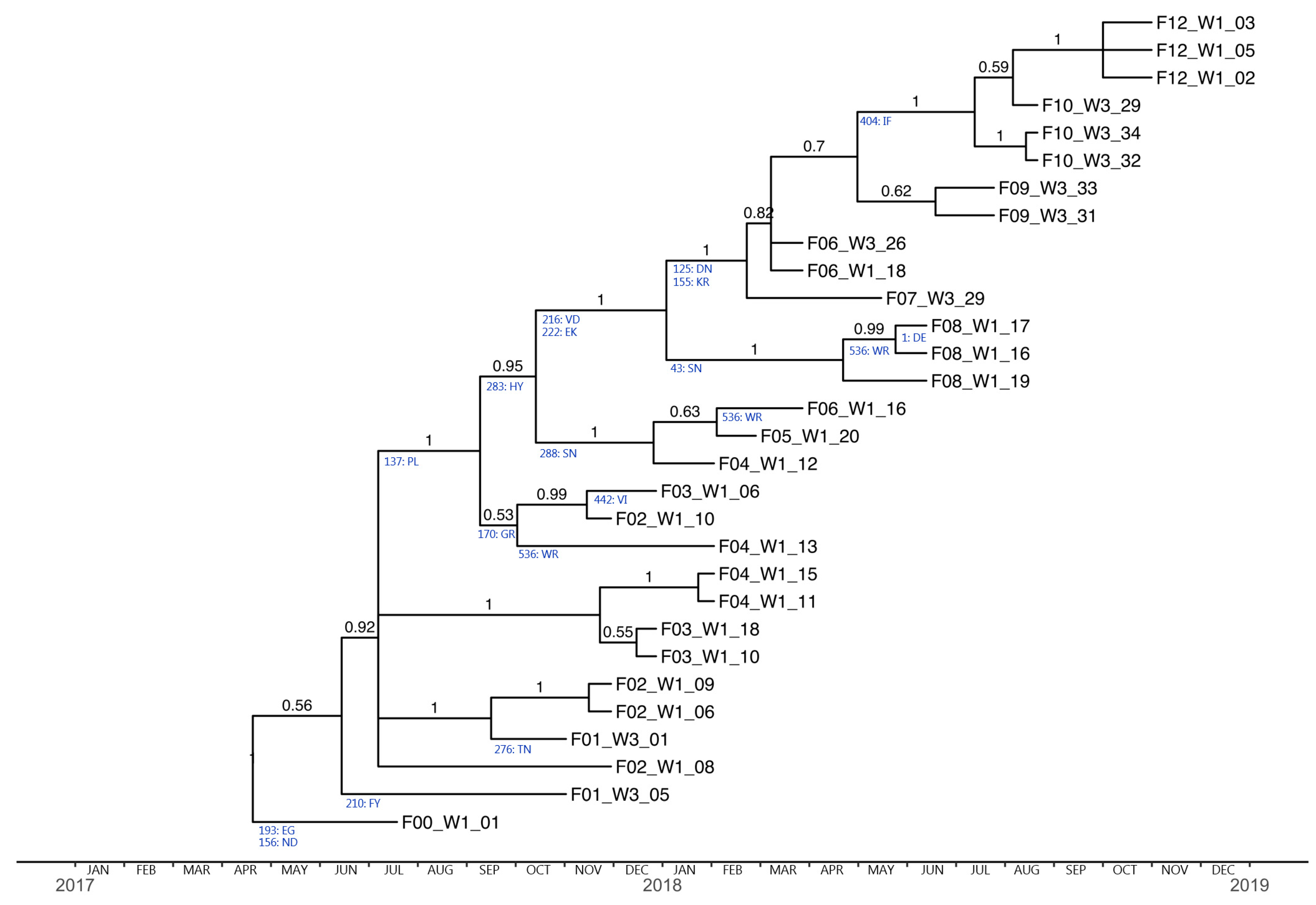 Viruses 12 00248 g002 Viruses 12 00248 g002