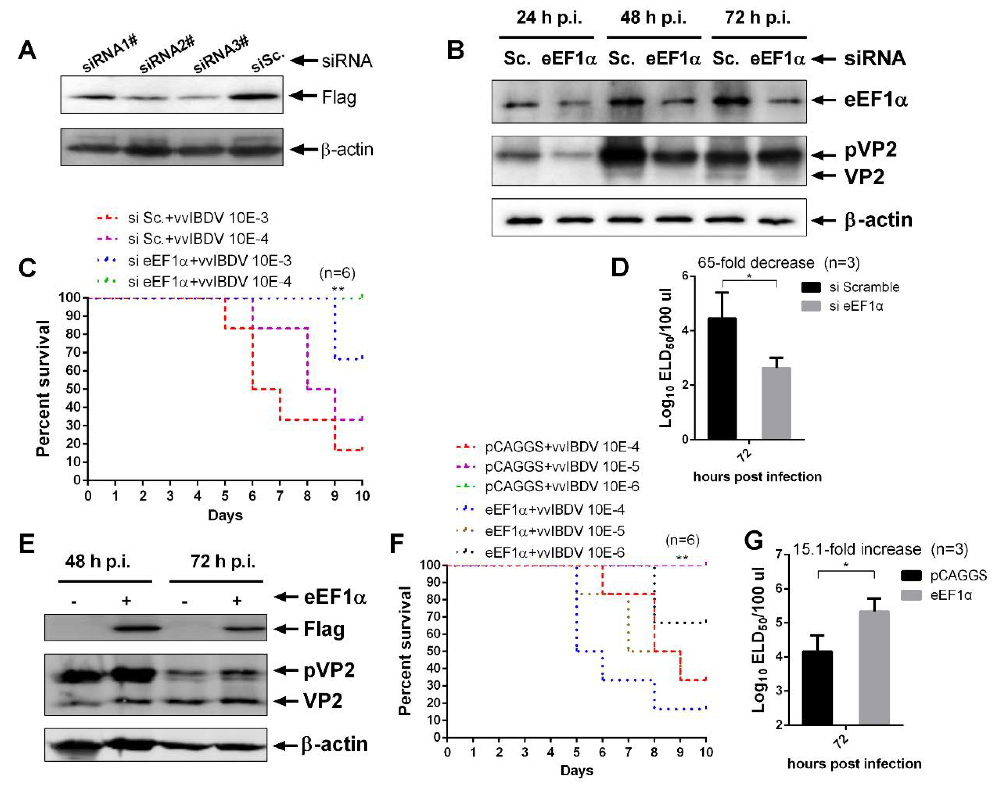 Viruses 12 00249 g002 Viruses 12 00249 g002