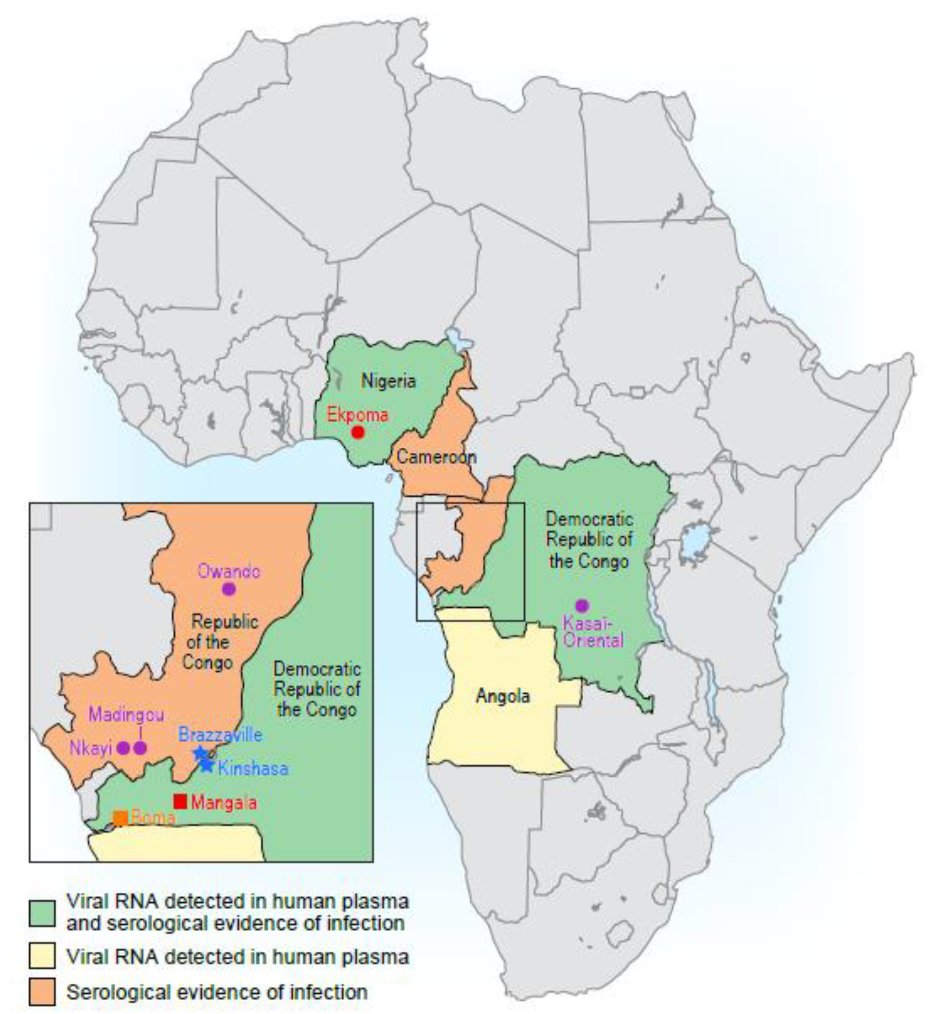 Viruses 12 00252 g001