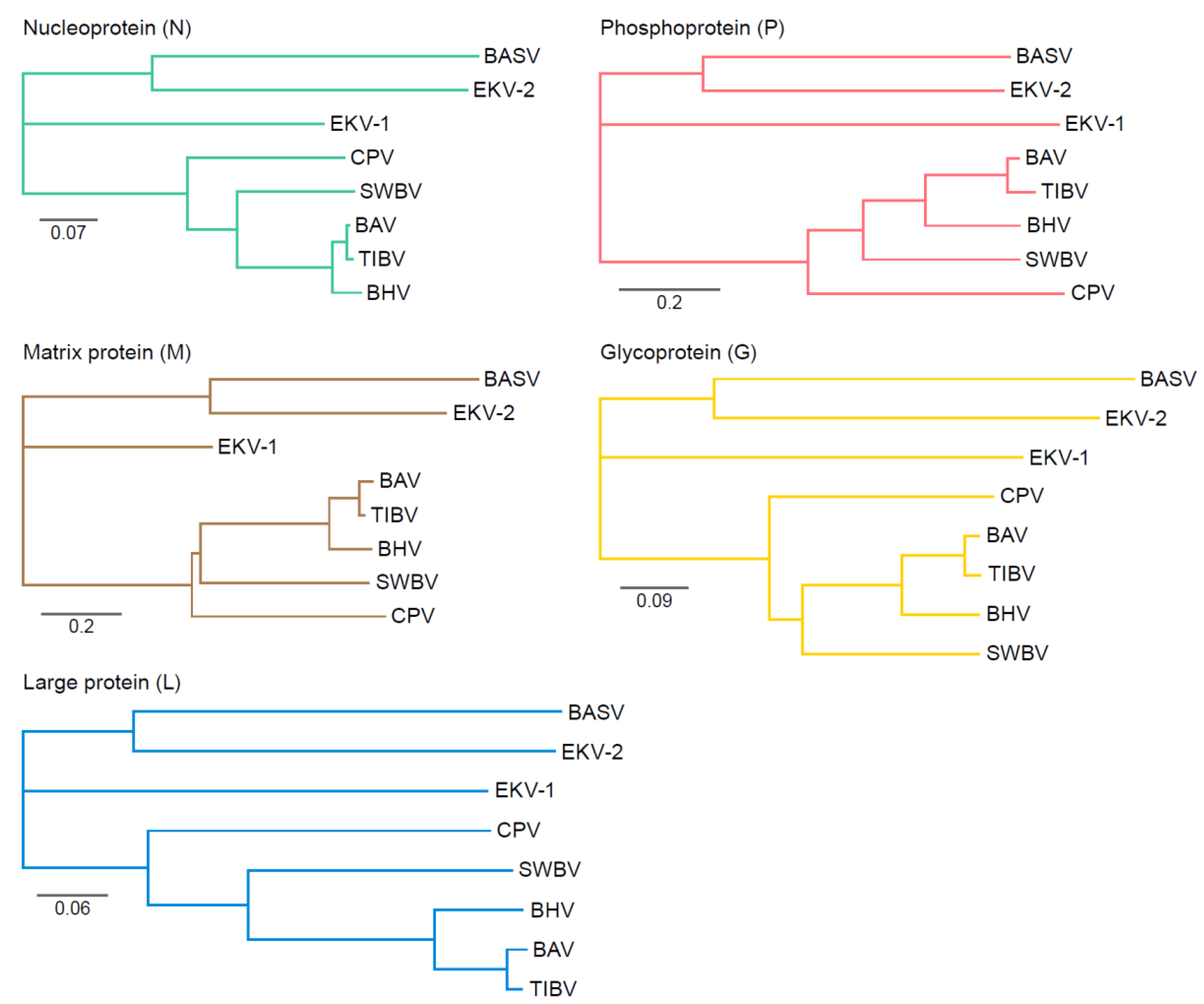 Viruses 12 00252 g003