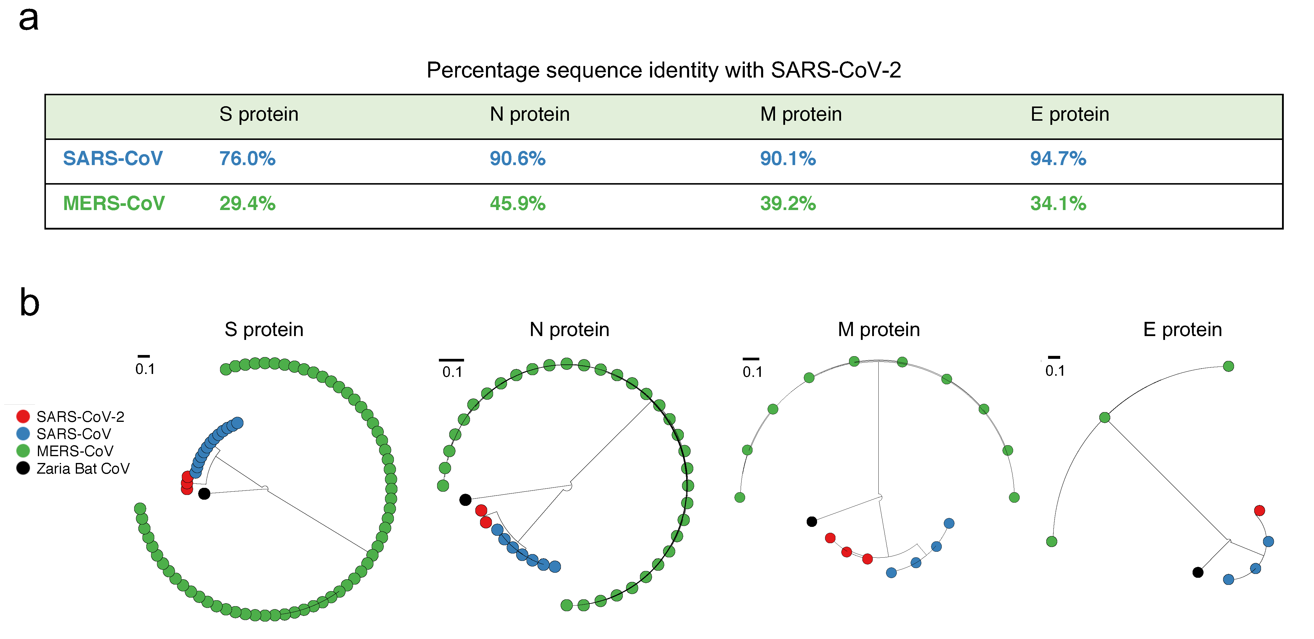 Sars cov 2 ответы на тест. SARS cov 2 размер. SARS-cov-2 mers SARS-cov-1. Происхождение вируса SARS-cov-2. Бета коронавирус SARS-cov-19.