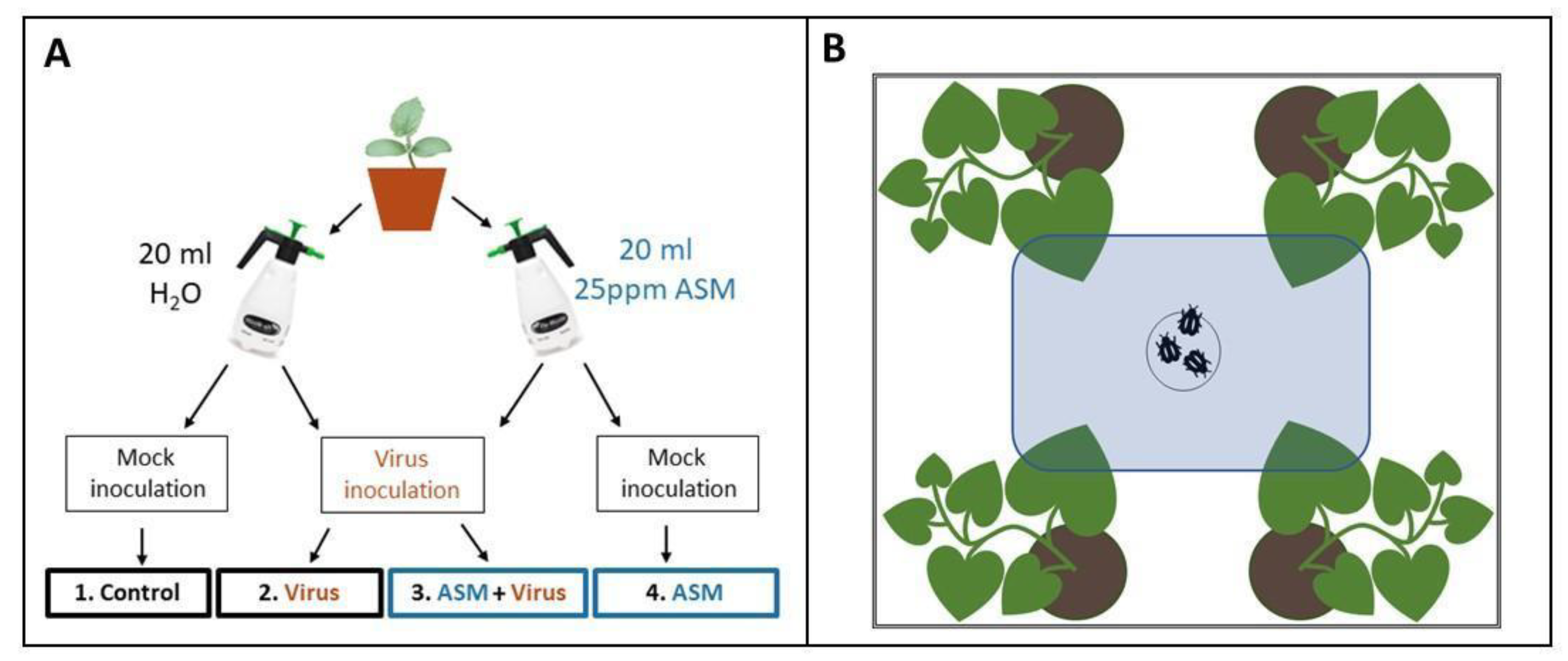 Viruses 12 00257 g001