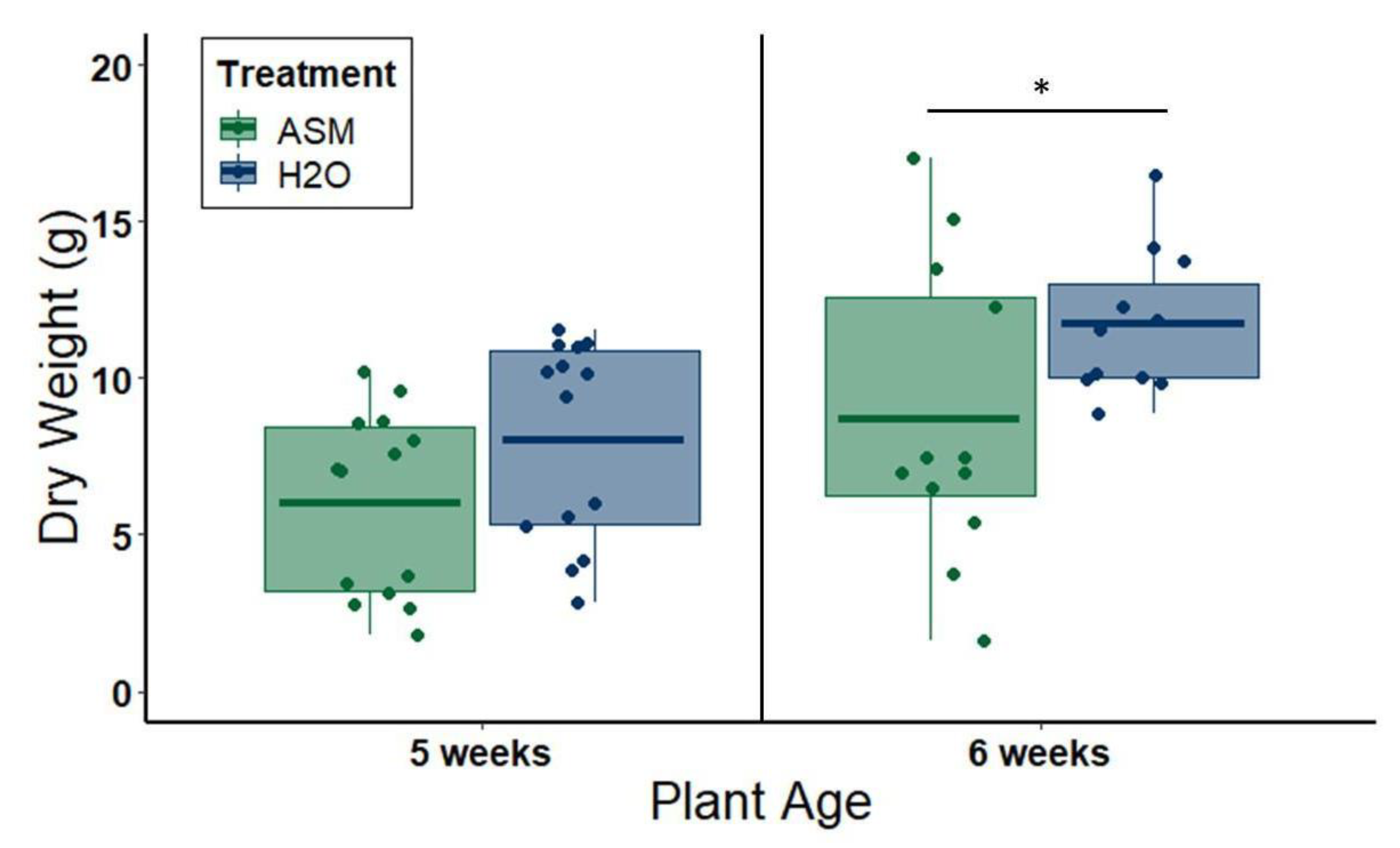 Viruses 12 00257 g006
