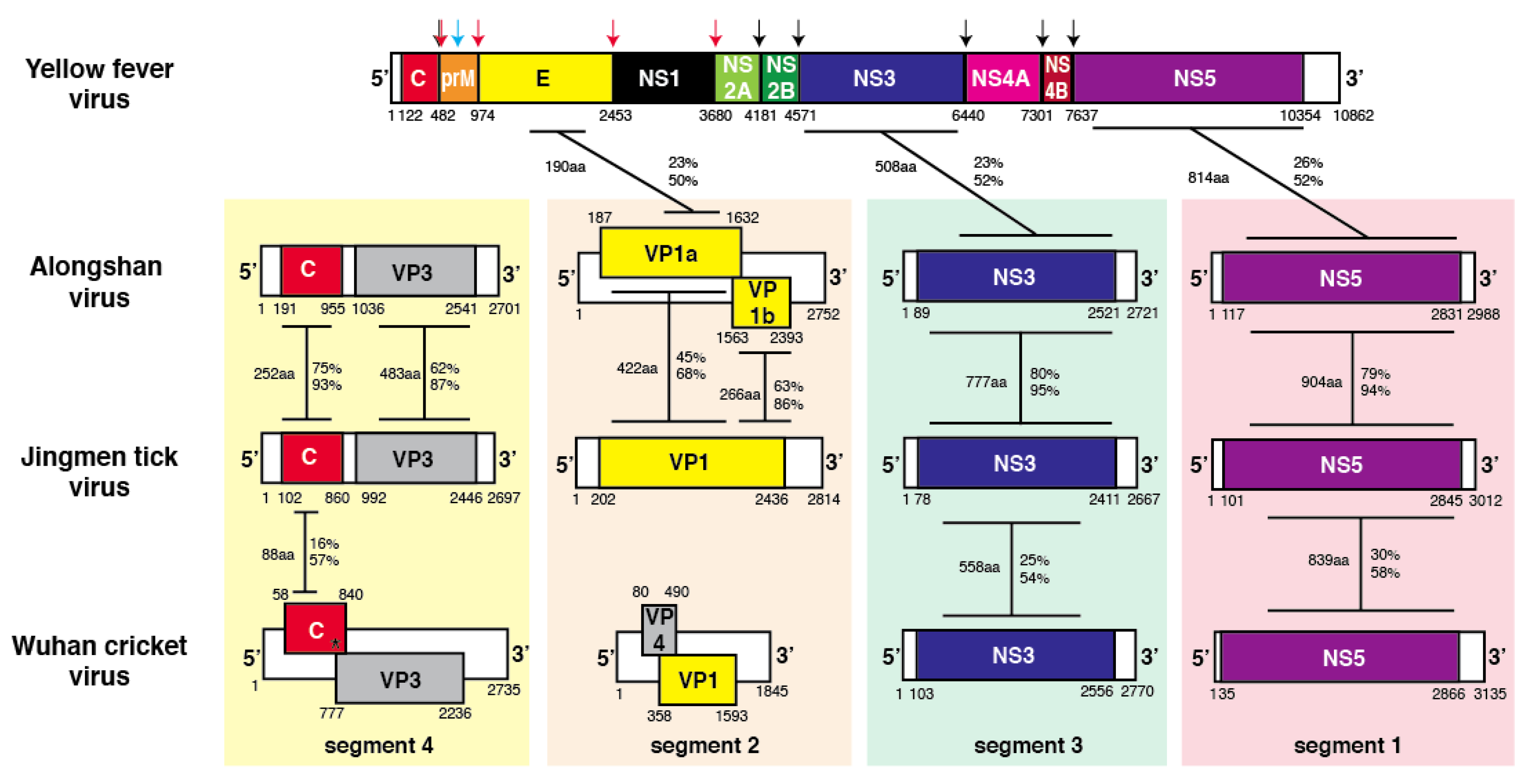 Viruses 12 00260 g001