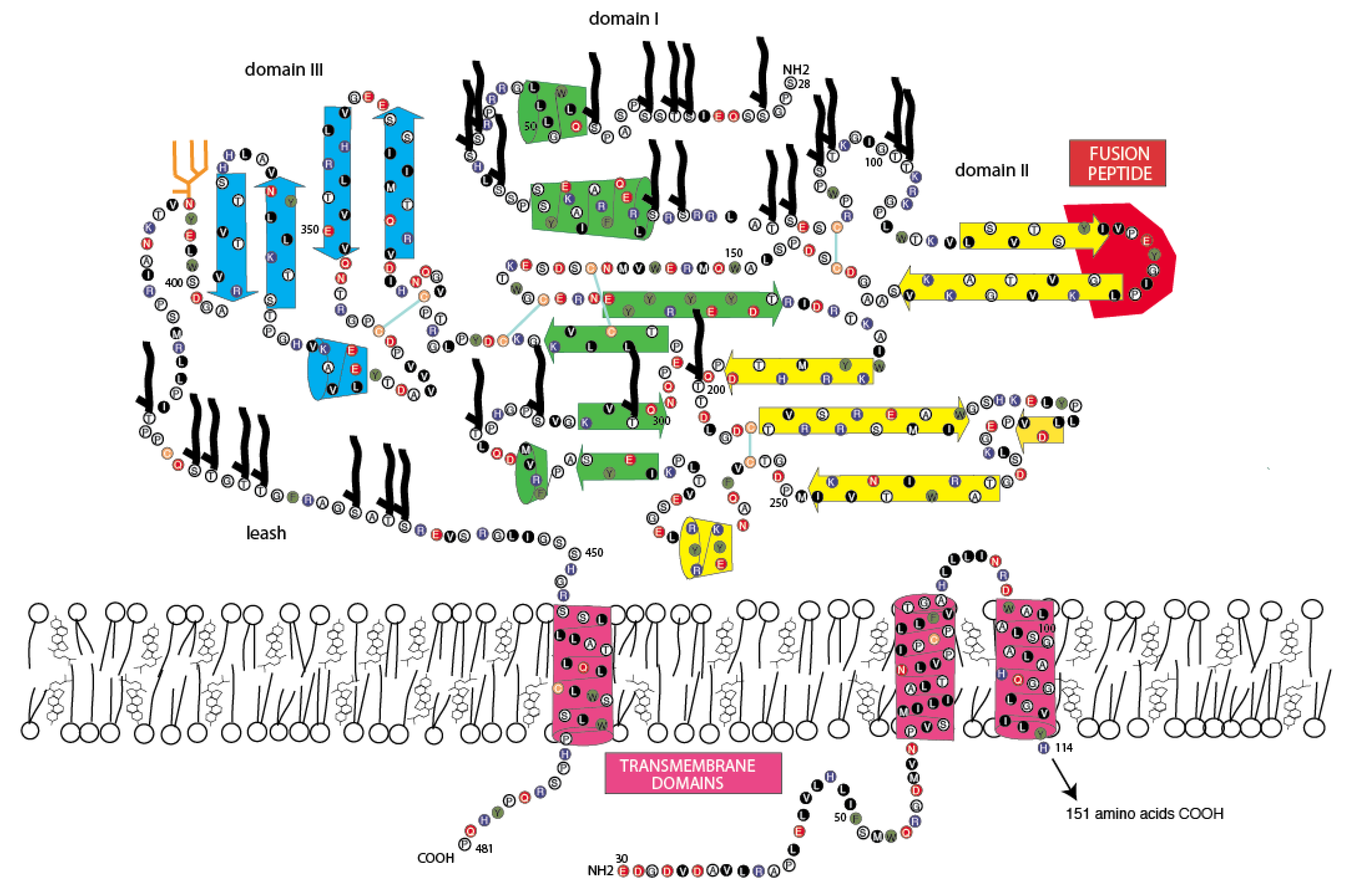 Viruses 12 00260 g004