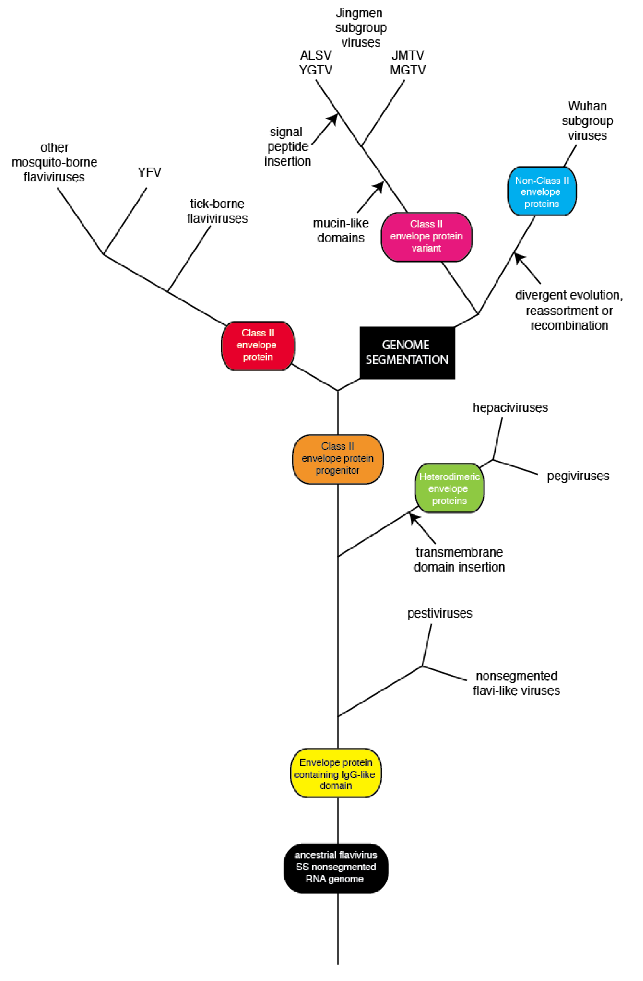 Viruses 12 00260 g007