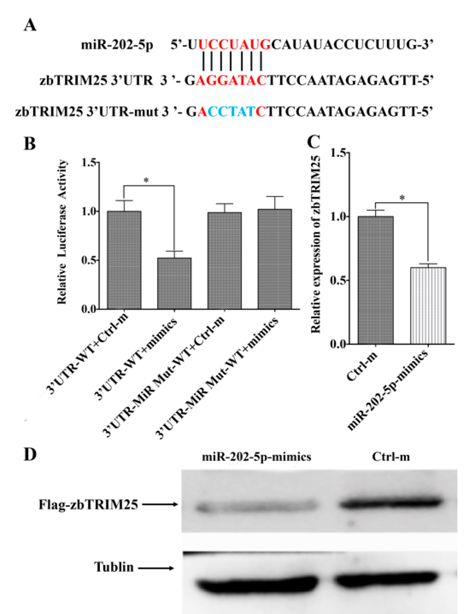 Viruses 12 00261 g004 Viruses 12 00261 g004