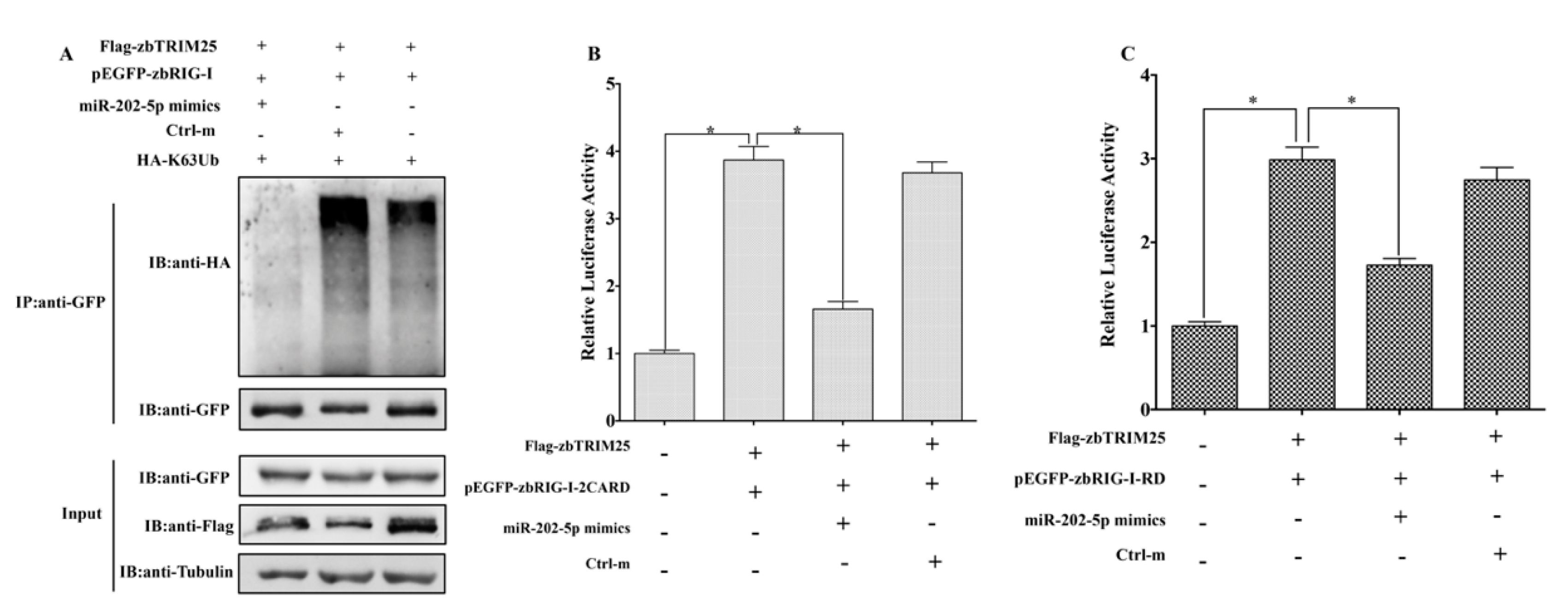 Viruses 12 00261 g007 Viruses 12 00261 g007
