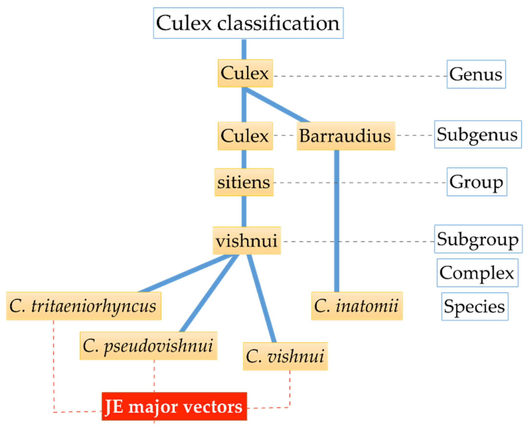 Viruses 12 00264 g002