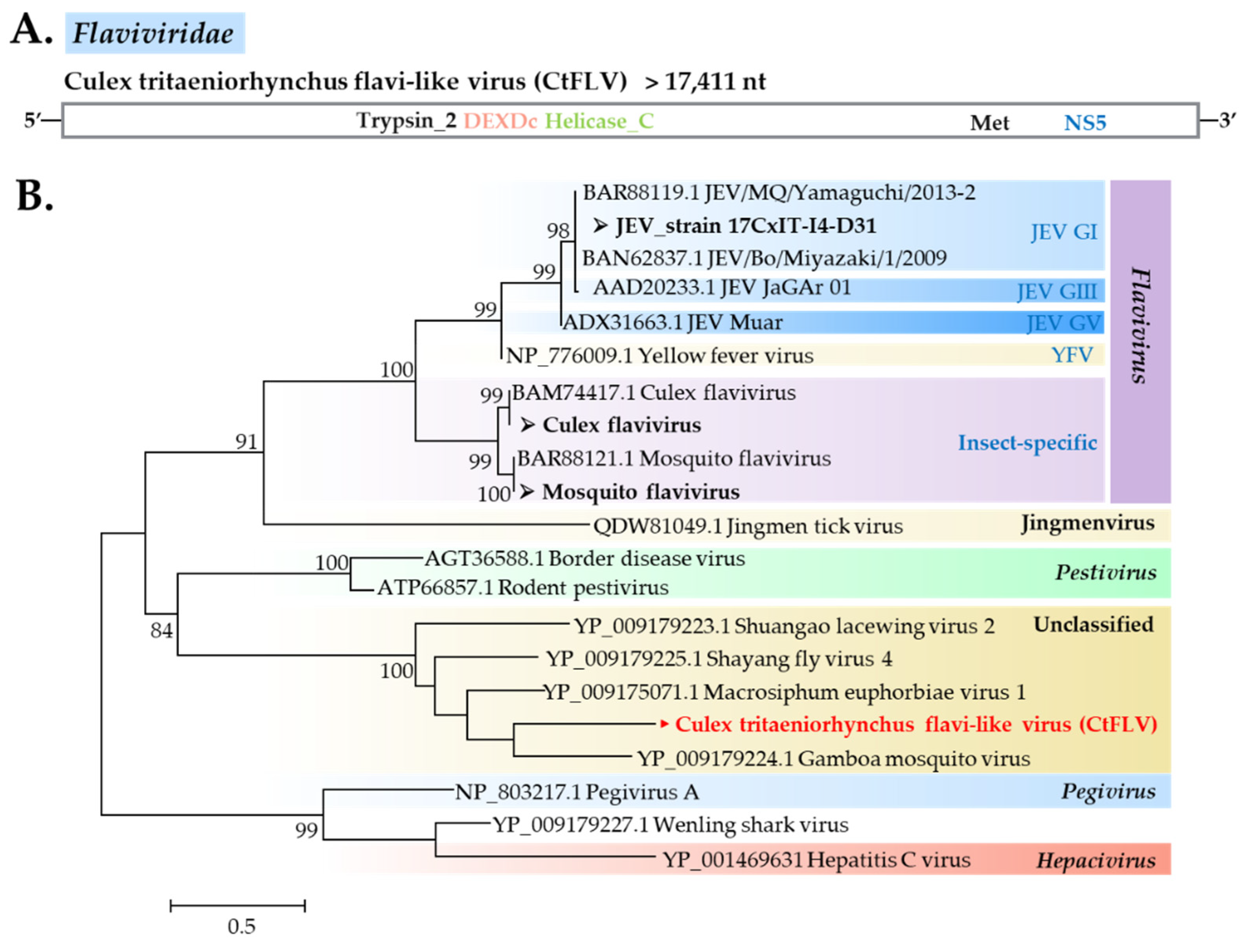 Viruses 12 00264 g007