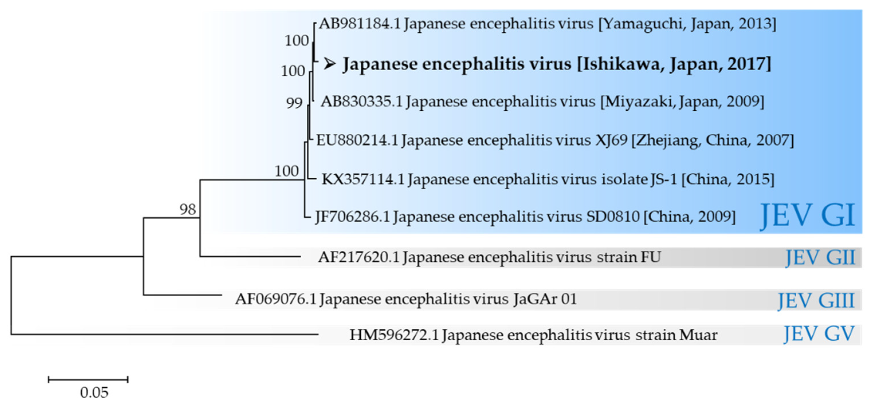 Viruses 12 00264 g008