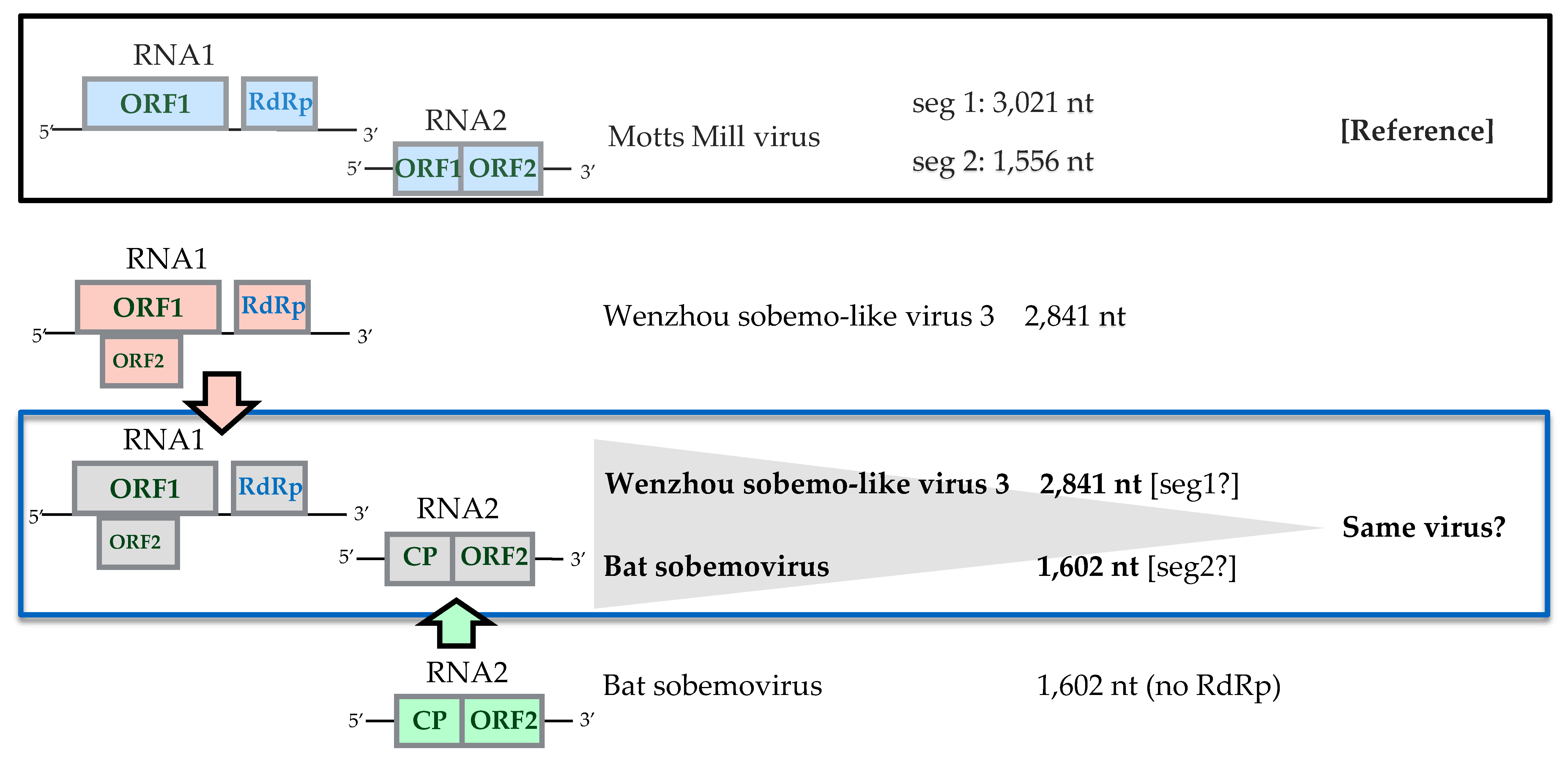 Viruses 12 00264 g010