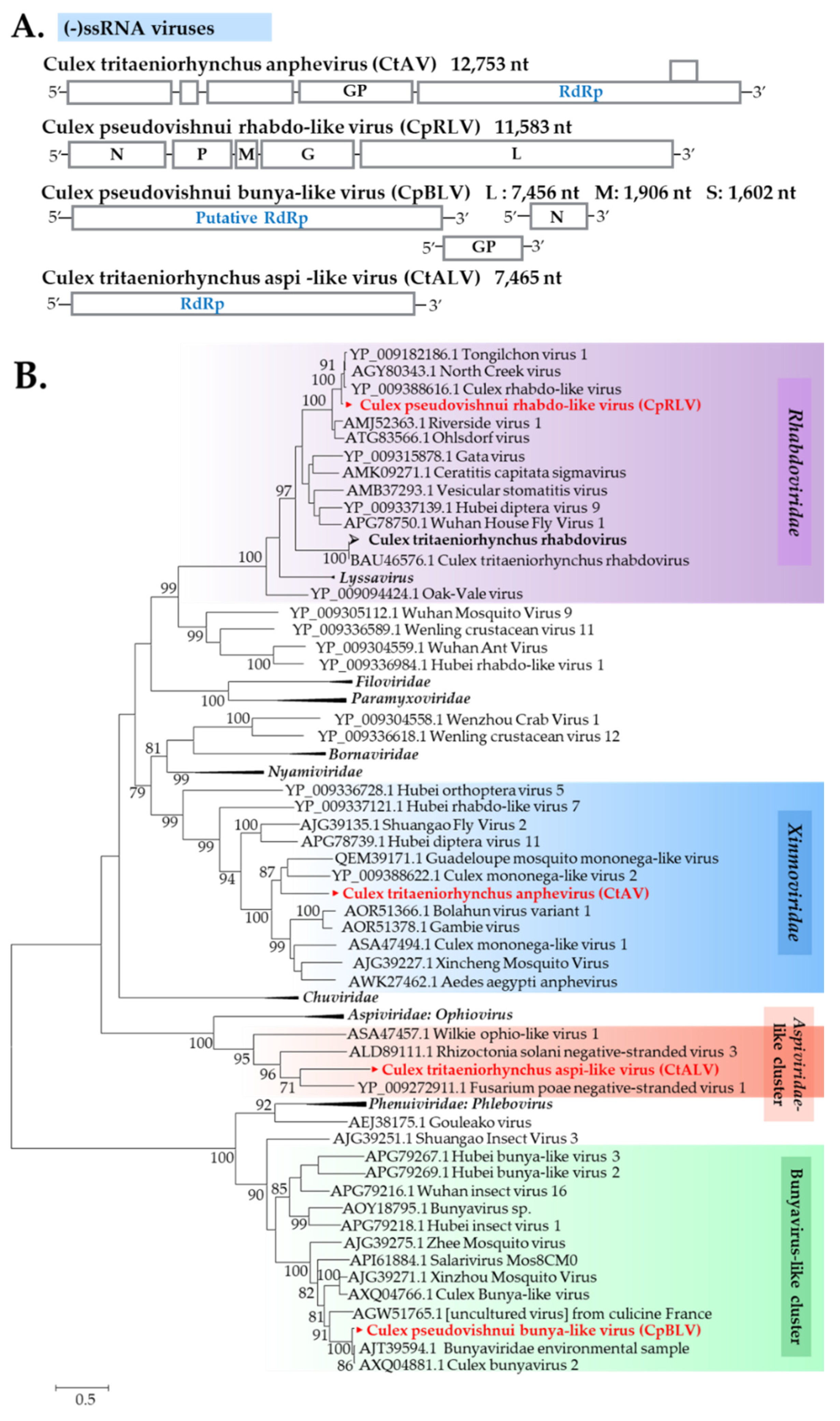 Viruses 12 00264 g012
