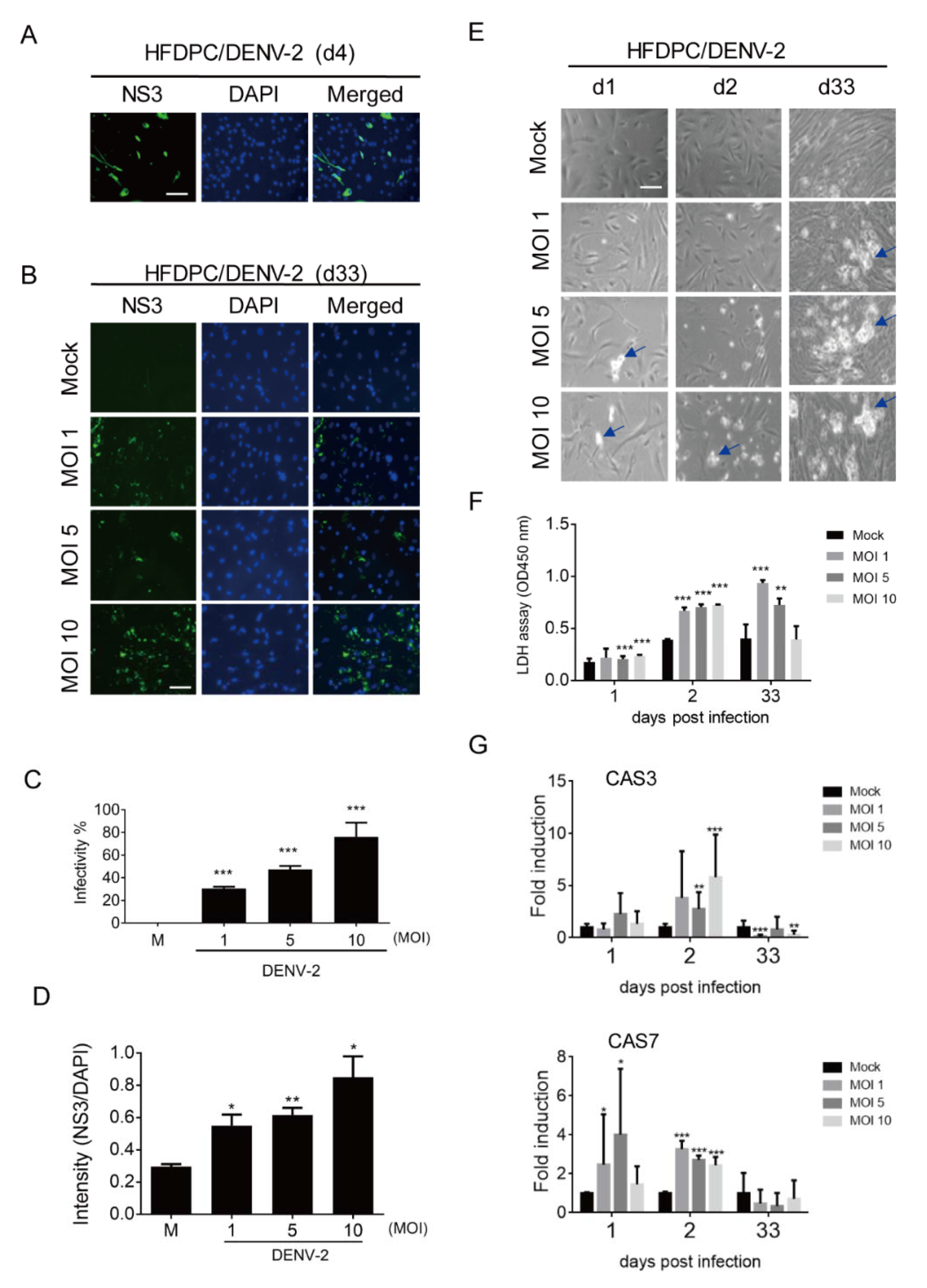 Viruses 12 00267 g003 Viruses 12 00267 g003