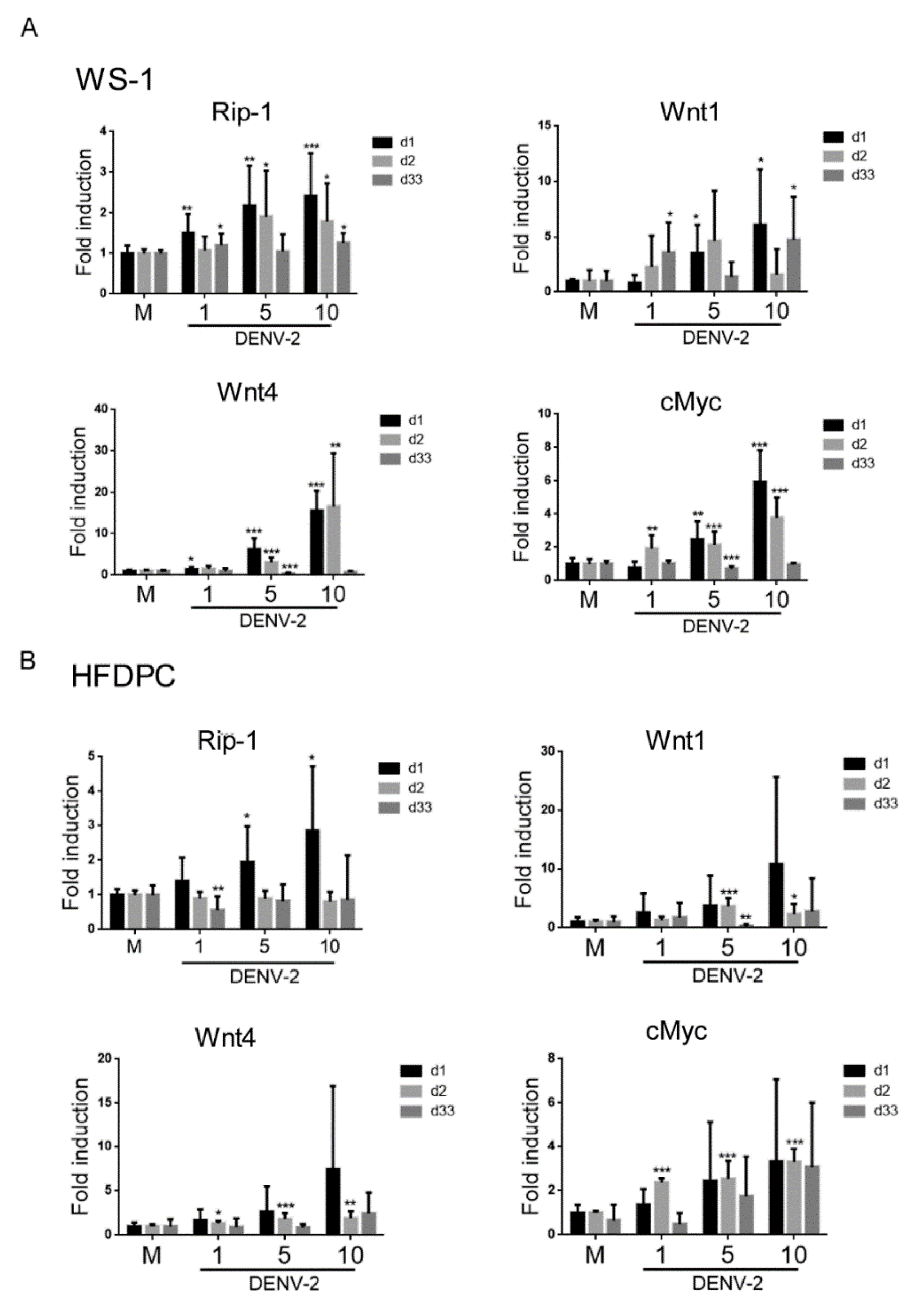 Viruses Free Full Text Assessment Of Prolonged Dengue Virus Infection In Dermal Fibroblasts And Hair Follicle Dermal Papilla Cells Html