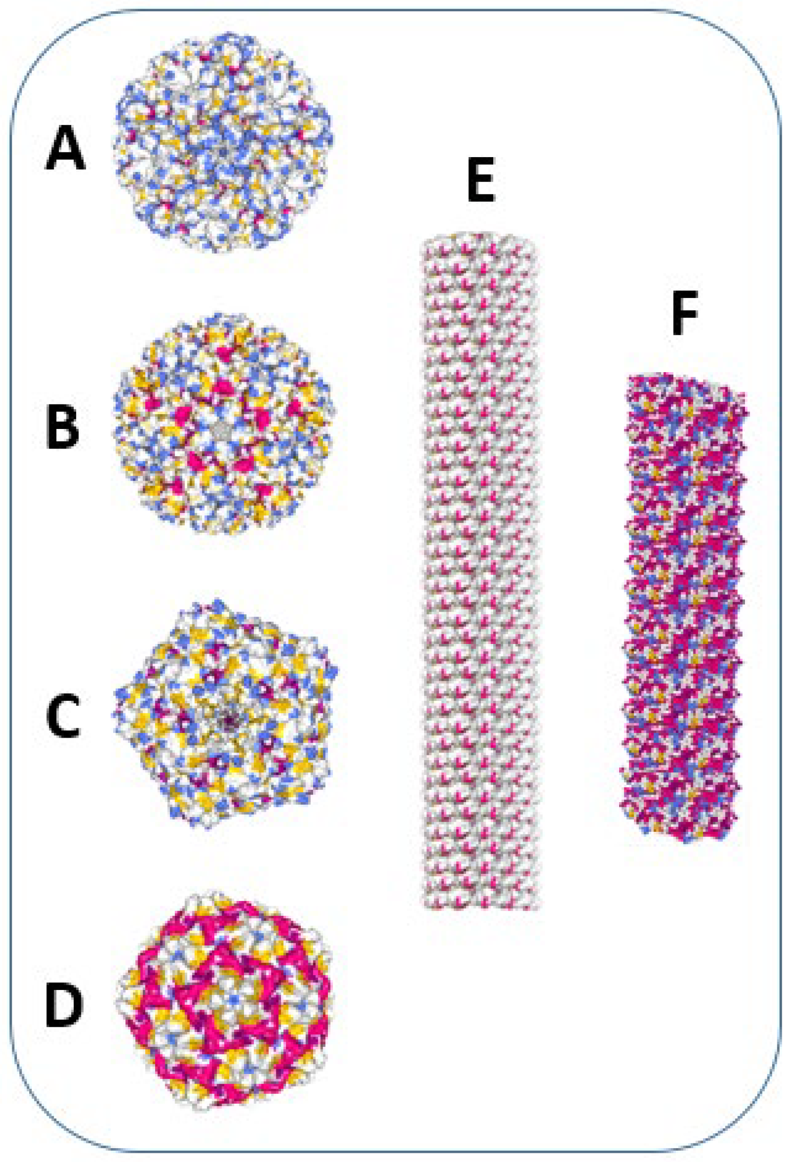Viruses 12 00270 g002