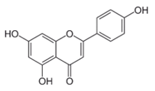 Viruses 12 00272 i002 Viruses 12 00272 i002