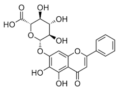 Viruses 12 00272 i004 Viruses 12 00272 i004