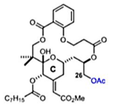 Viruses 12 00272 i007 Viruses 12 00272 i007