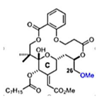 Viruses 12 00272 i008 Viruses 12 00272 i008