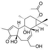 Viruses 12 00272 i017 Viruses 12 00272 i017