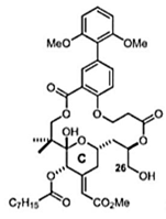 Viruses 12 00272 i020 Viruses 12 00272 i020