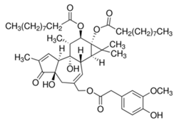 Viruses 12 00272 i024 Viruses 12 00272 i024
