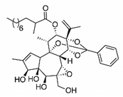 Viruses 12 00272 i025 Viruses 12 00272 i025