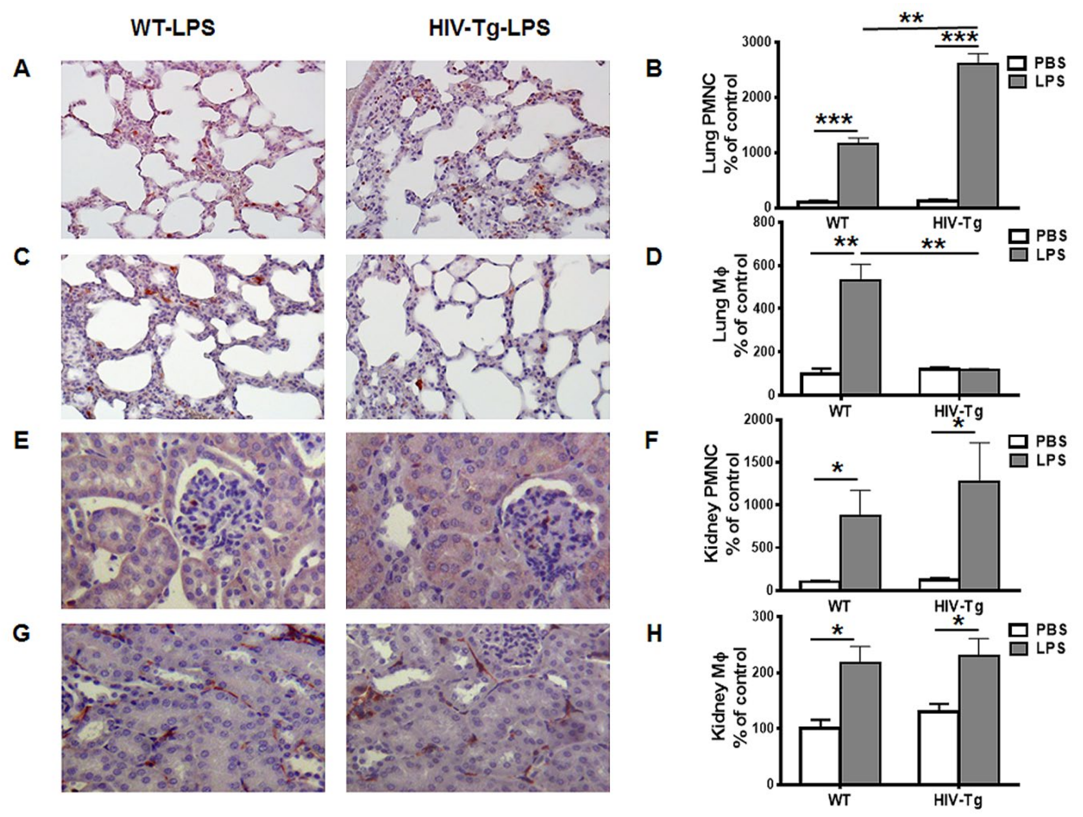 Viruses 12 00277 g001