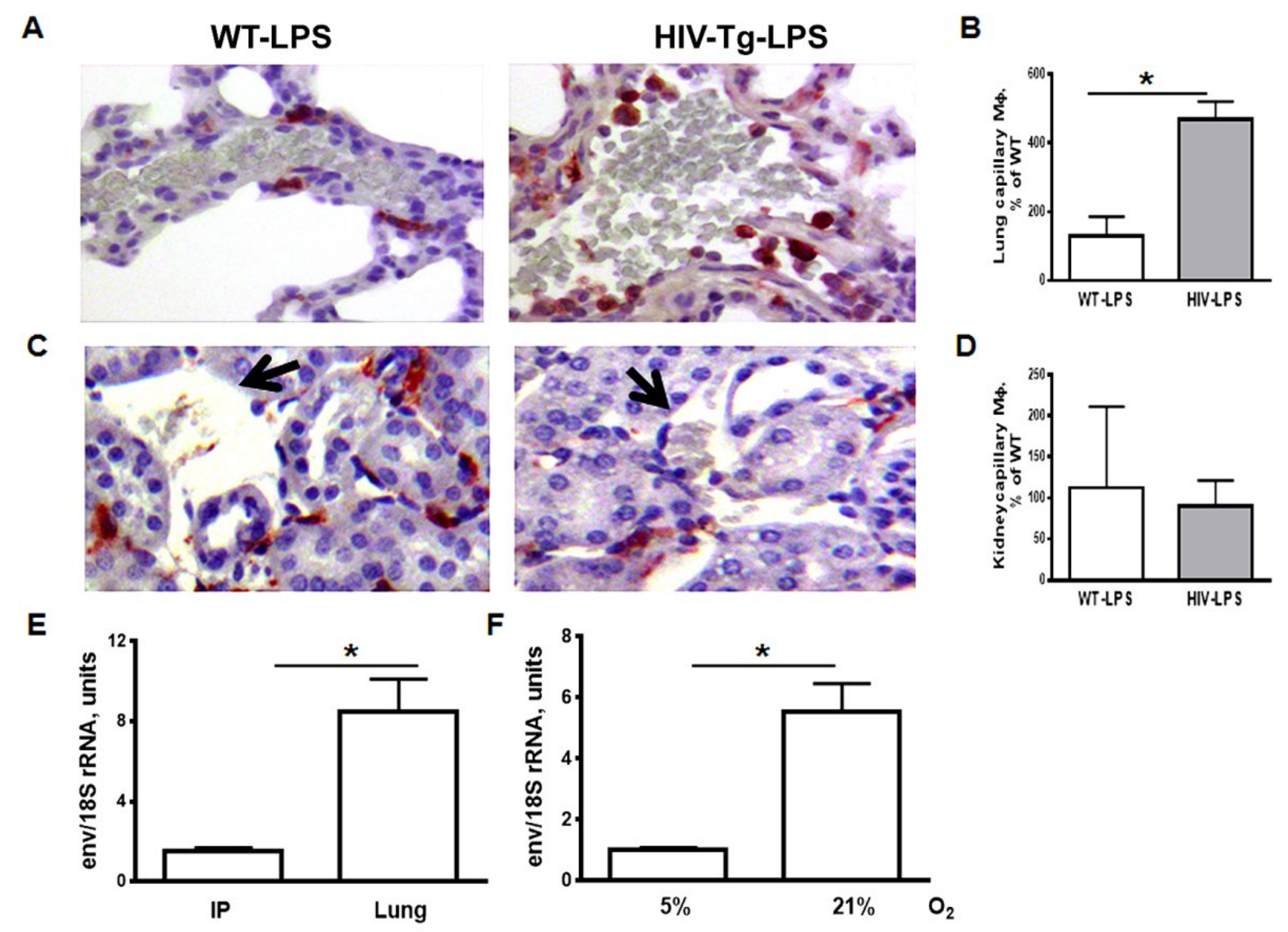 Viruses 12 00277 g003