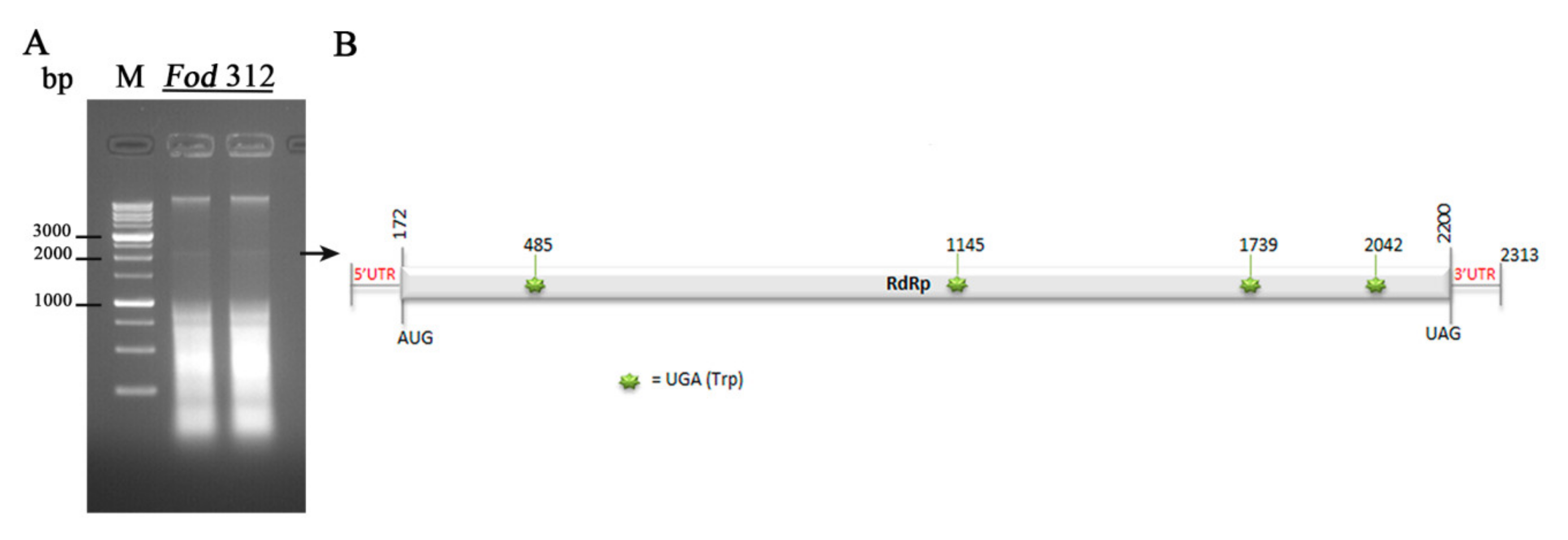 Viruses 12 00279 g002 Viruses 12 00279 g002