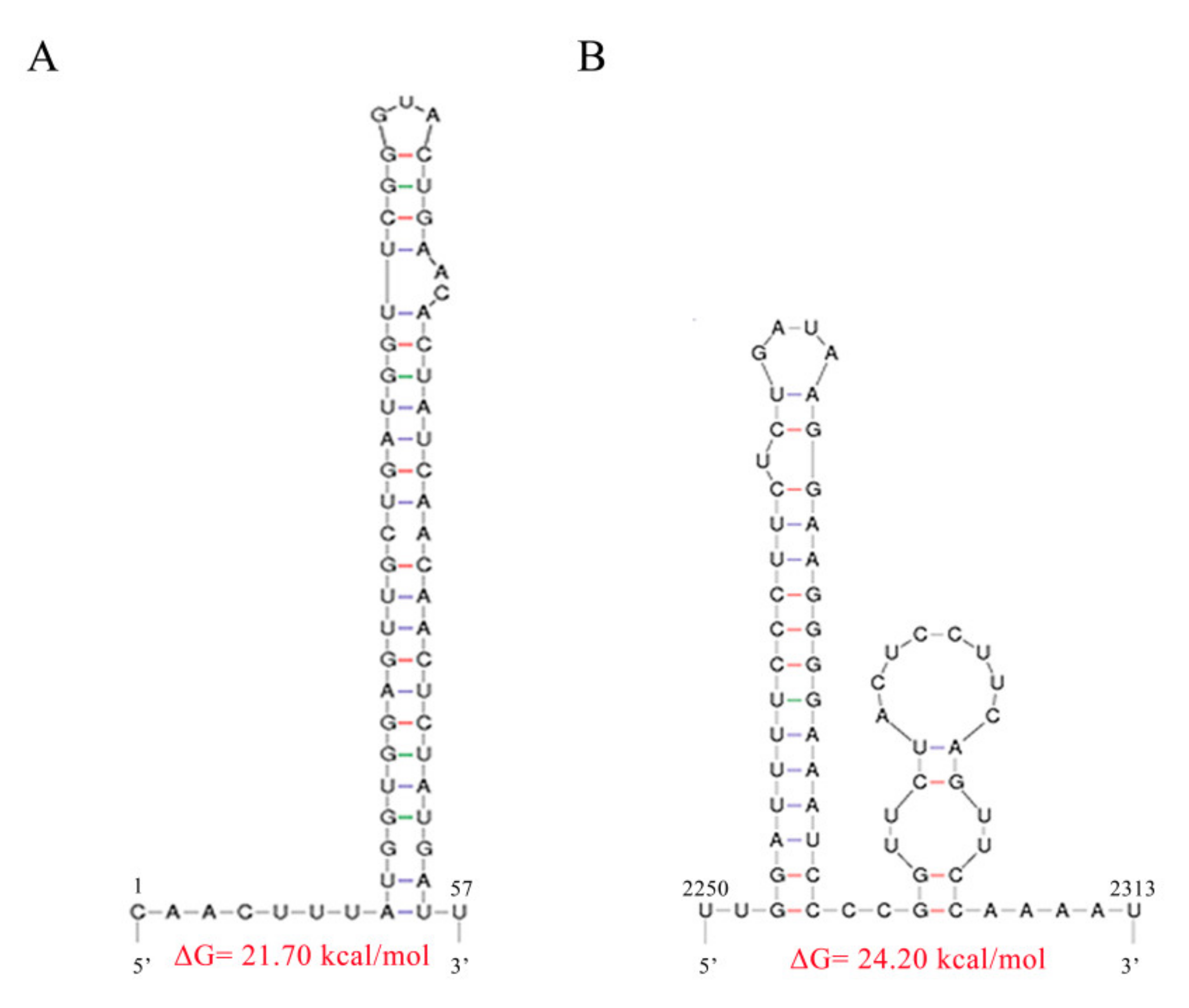 Viruses 12 00279 g004 Viruses 12 00279 g004