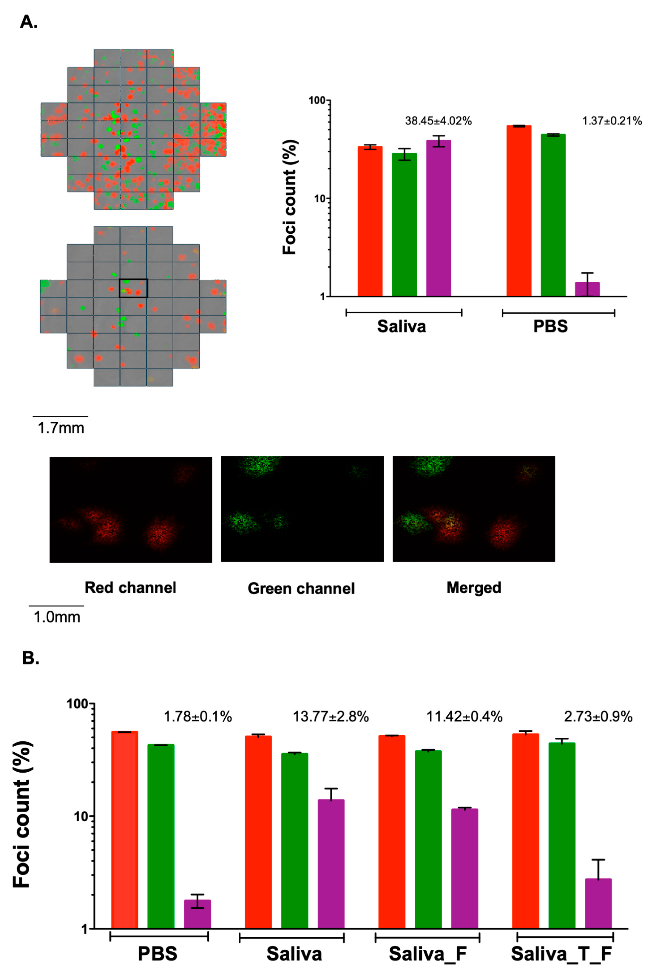 Viruses 12 00282 g001