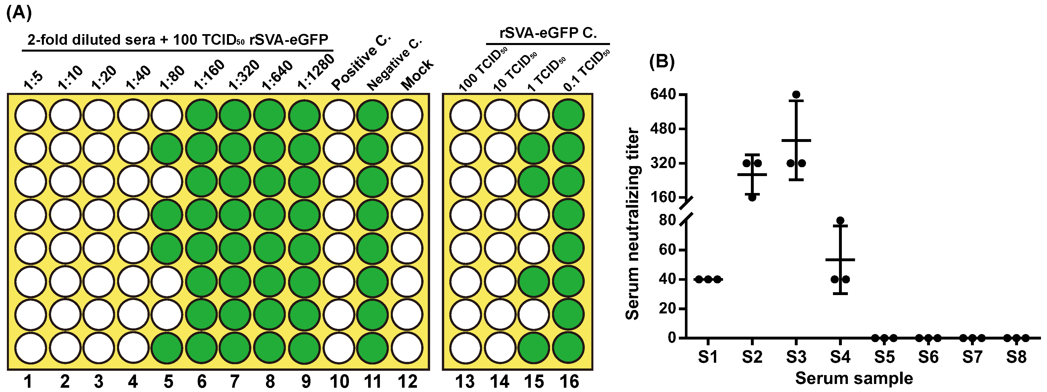 Viruses 12 00283 g004 Viruses 12 00283 g004