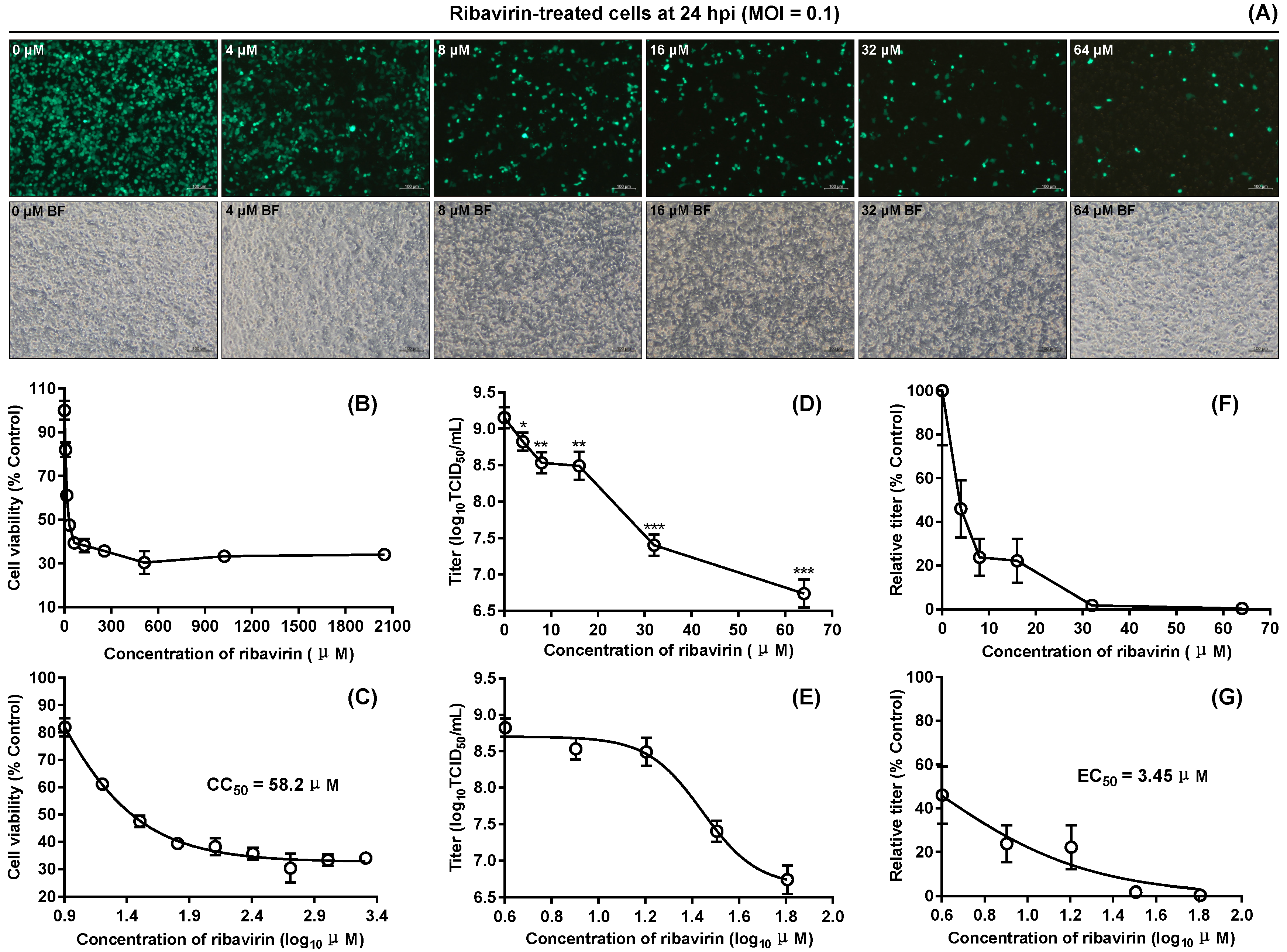 Viruses 12 00283 g005 Viruses 12 00283 g005