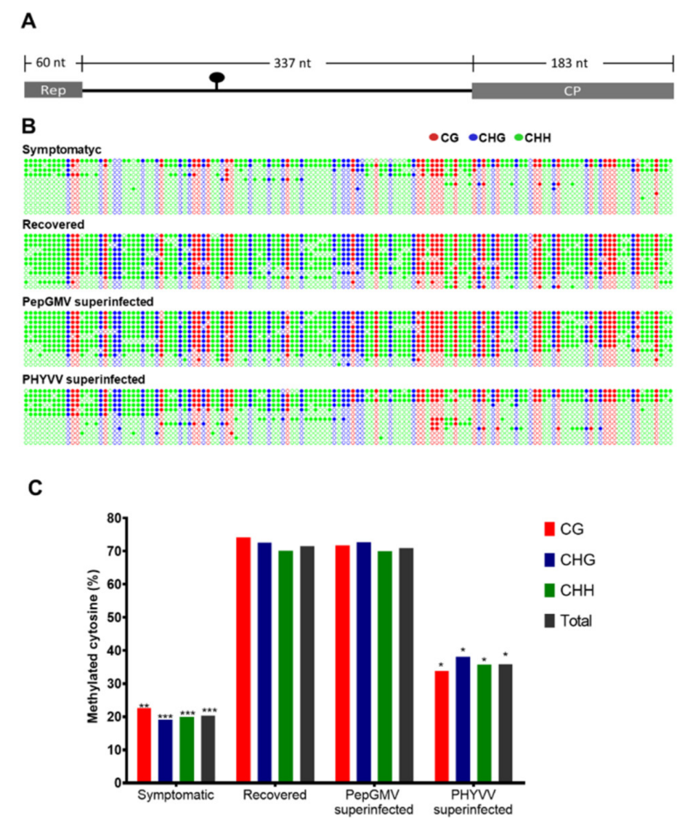 Viruses 12 00286 g002 Viruses 12 00286 g002