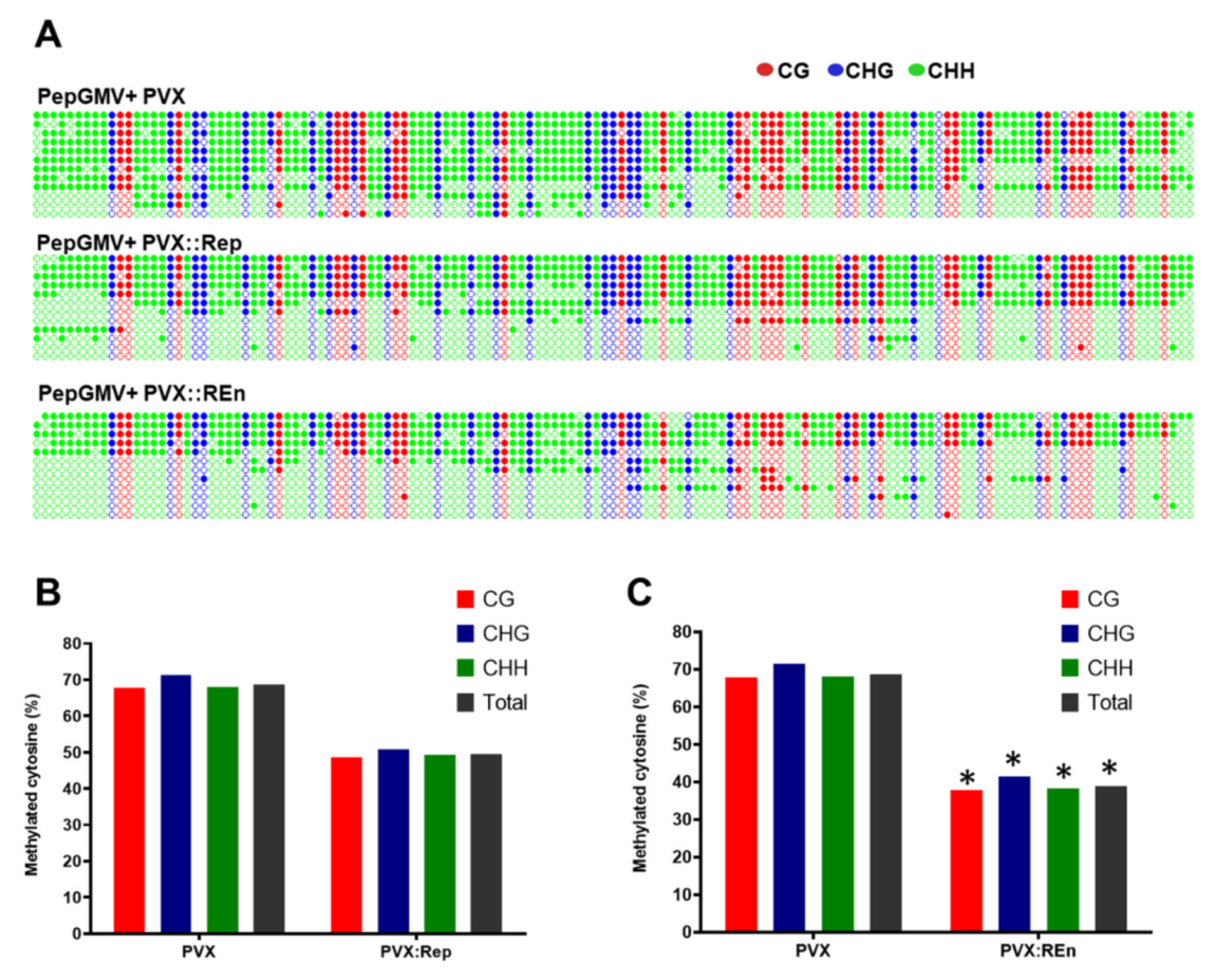 Viruses 12 00286 g005 Viruses 12 00286 g005