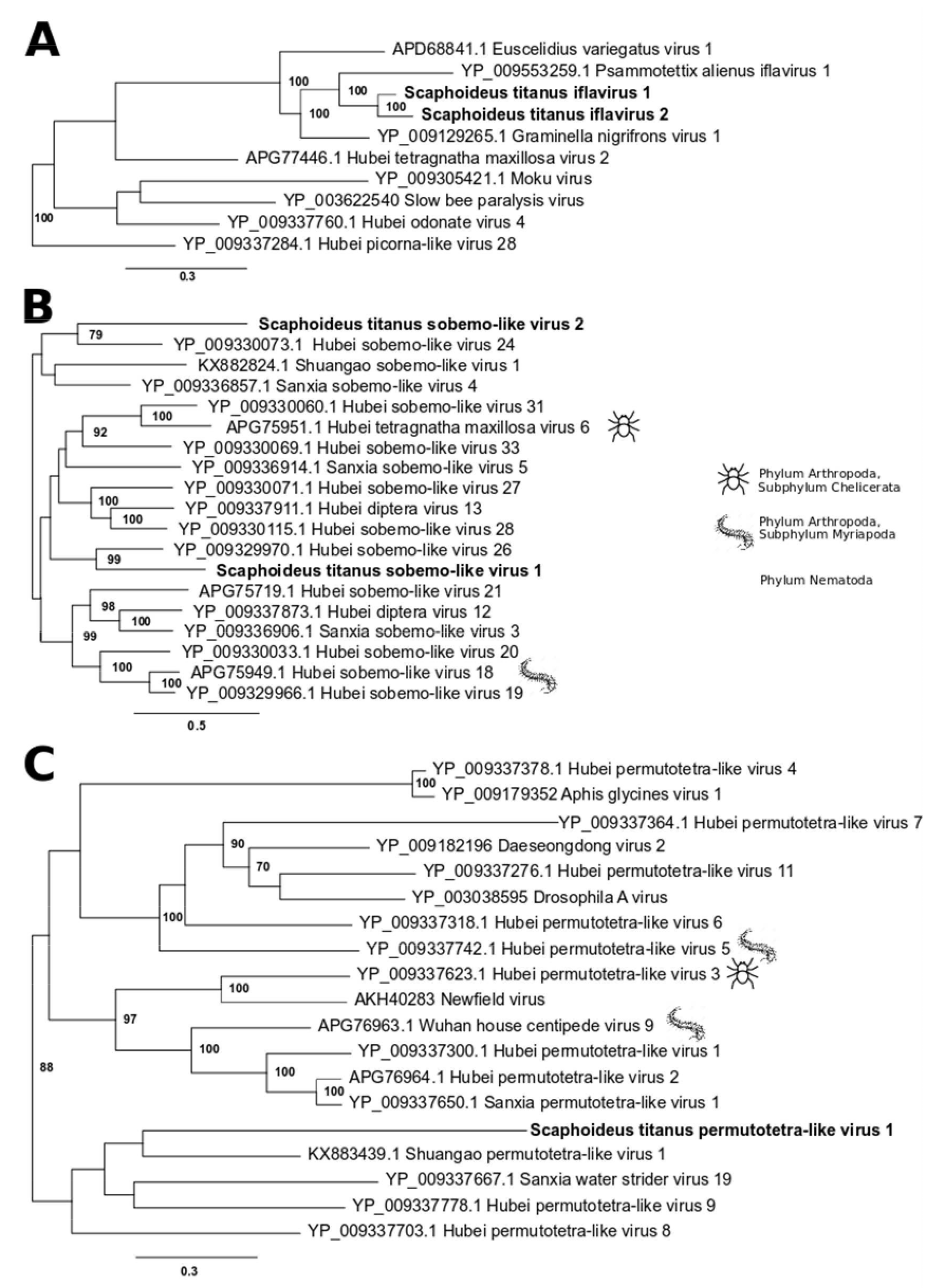 Viruses 12 00287 g001 Viruses 12 00287 g001